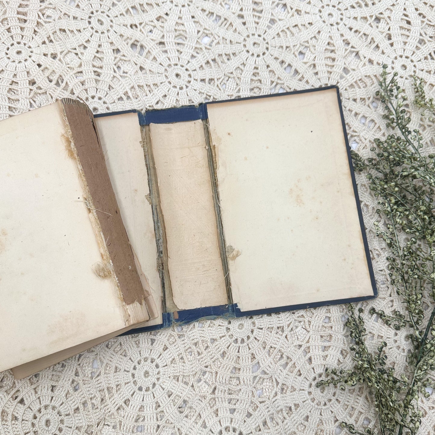 The Poetical Works of Thomas Moore