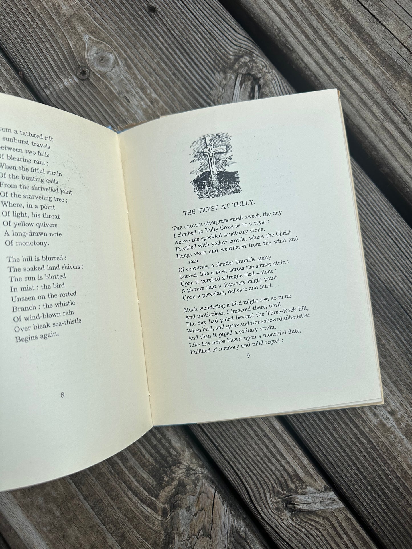 Wild Honey Poems