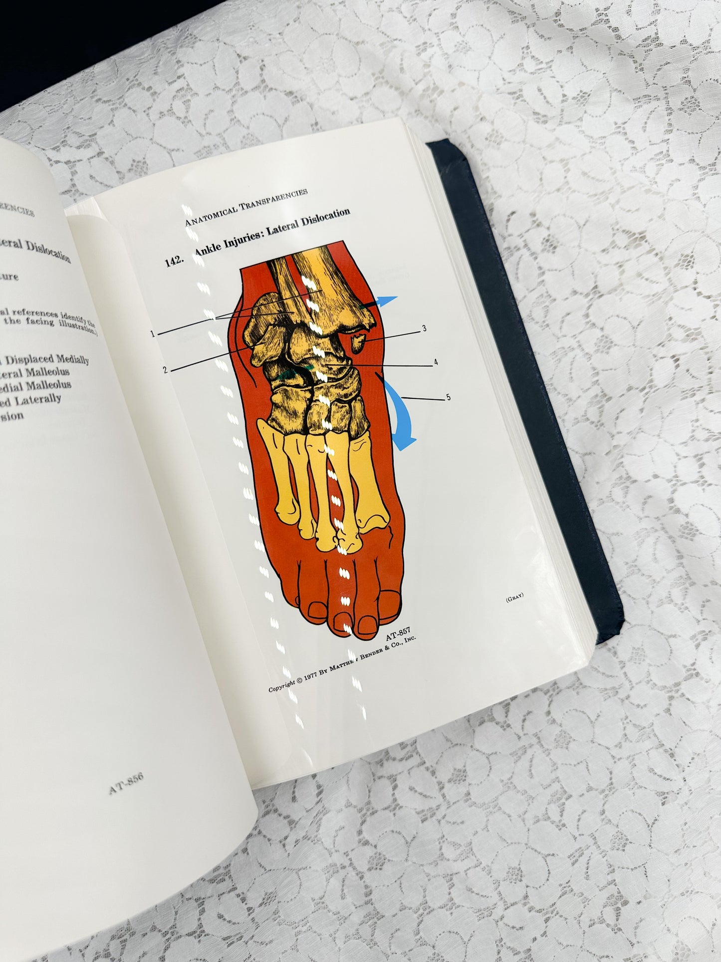 Textbook of Medicine- Two Available