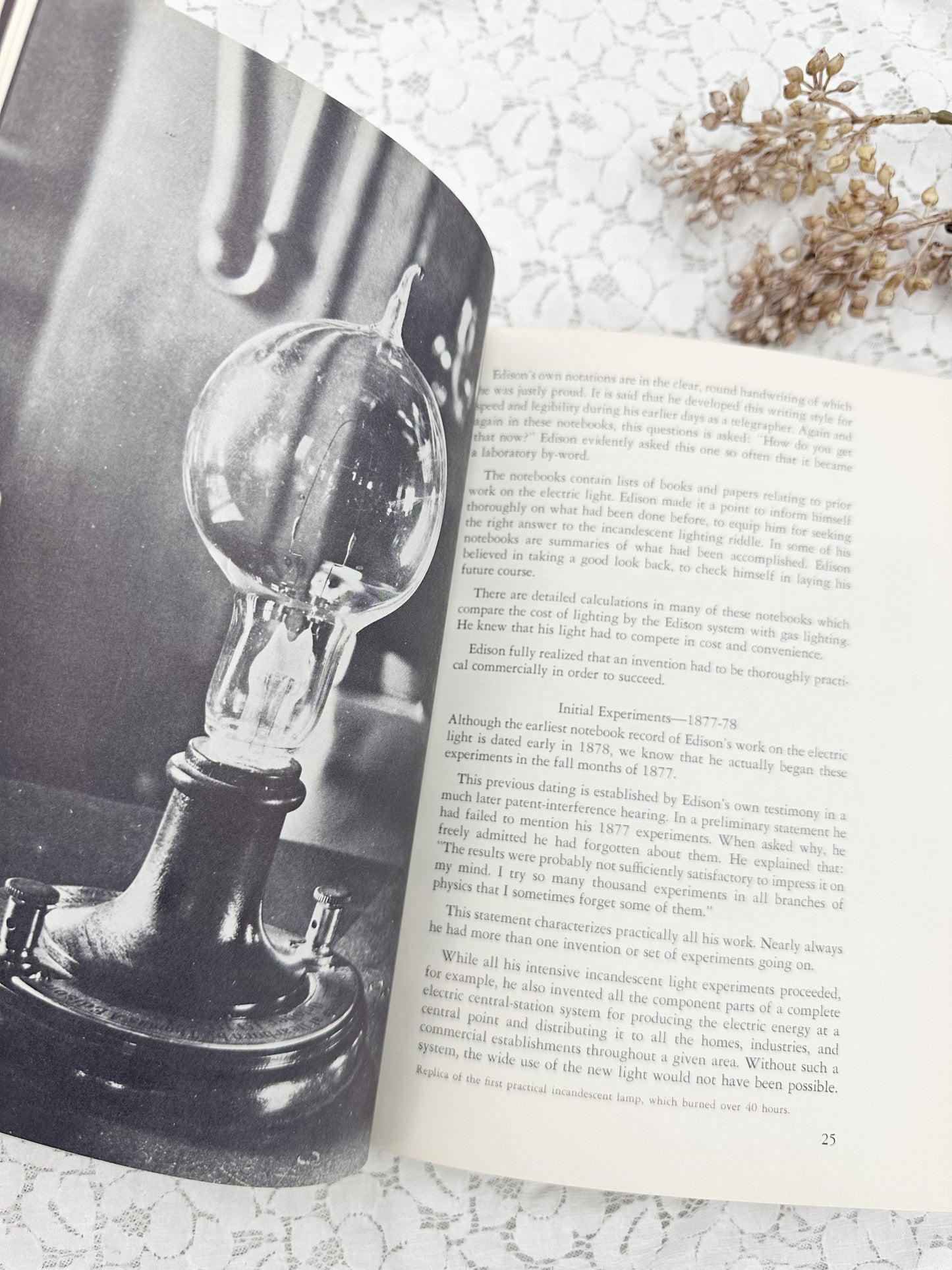 The Incandescent Light Book