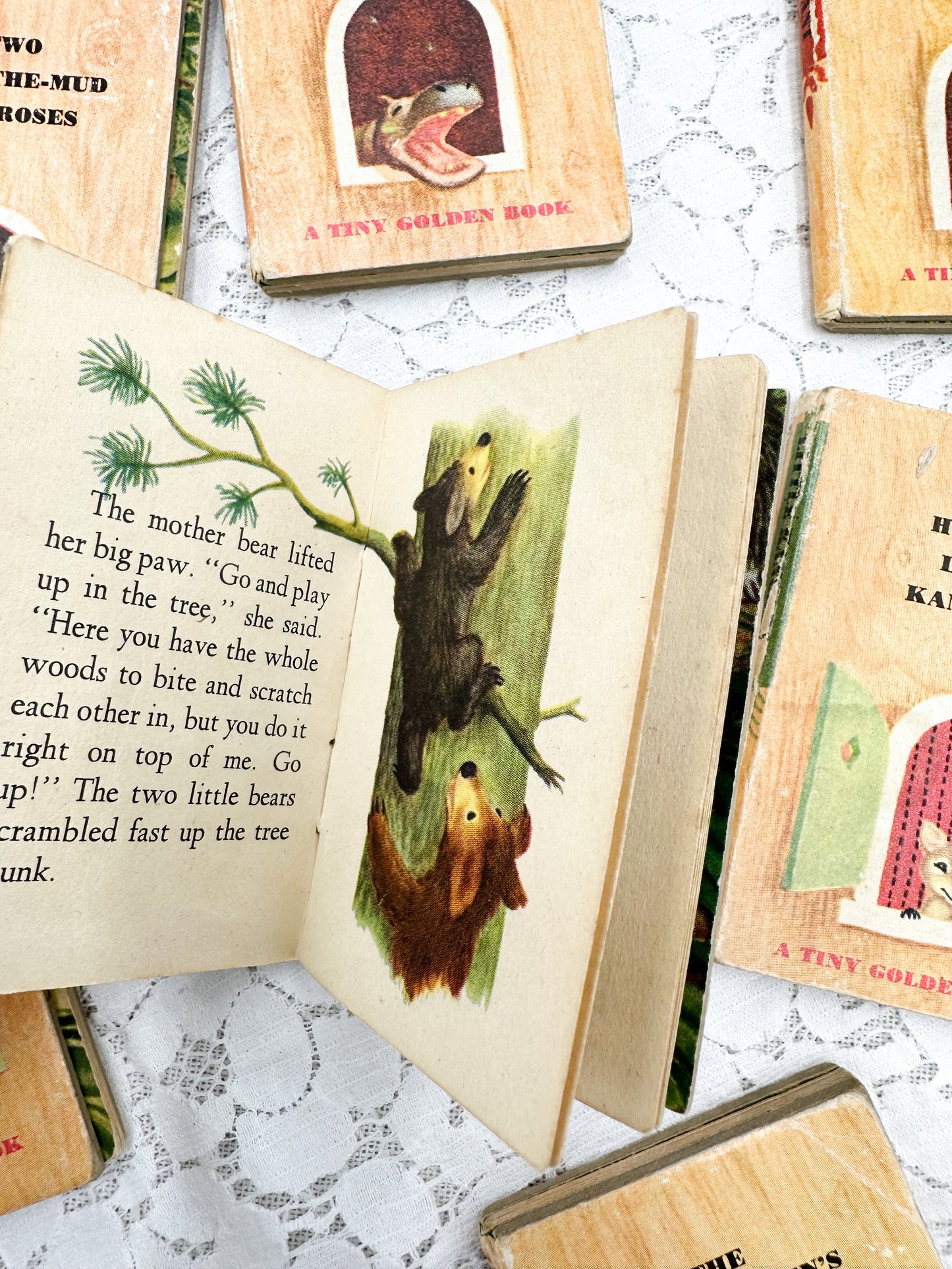 Set of Mini Children's Books (Set of 8)