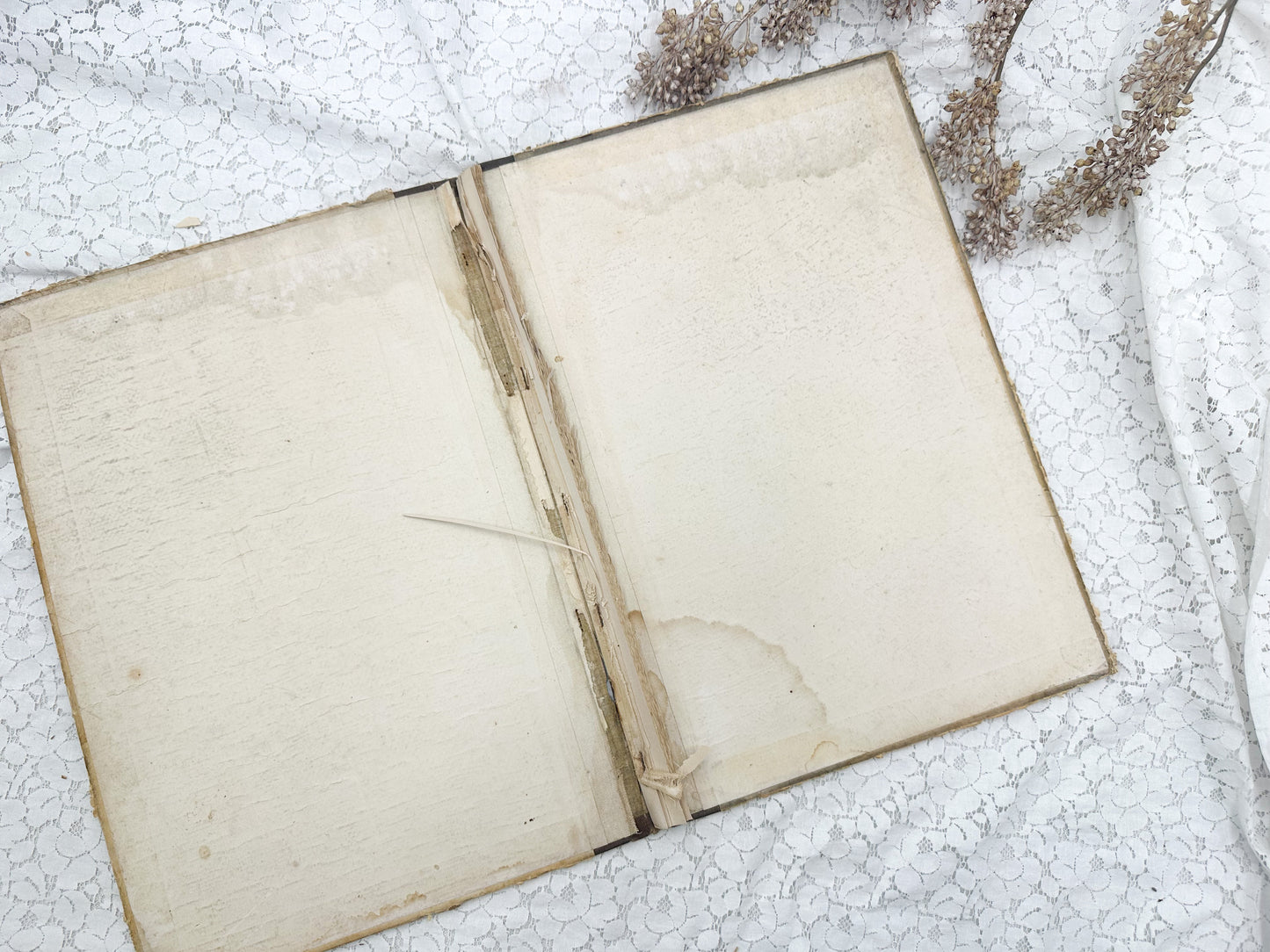 Vintage Book Cover