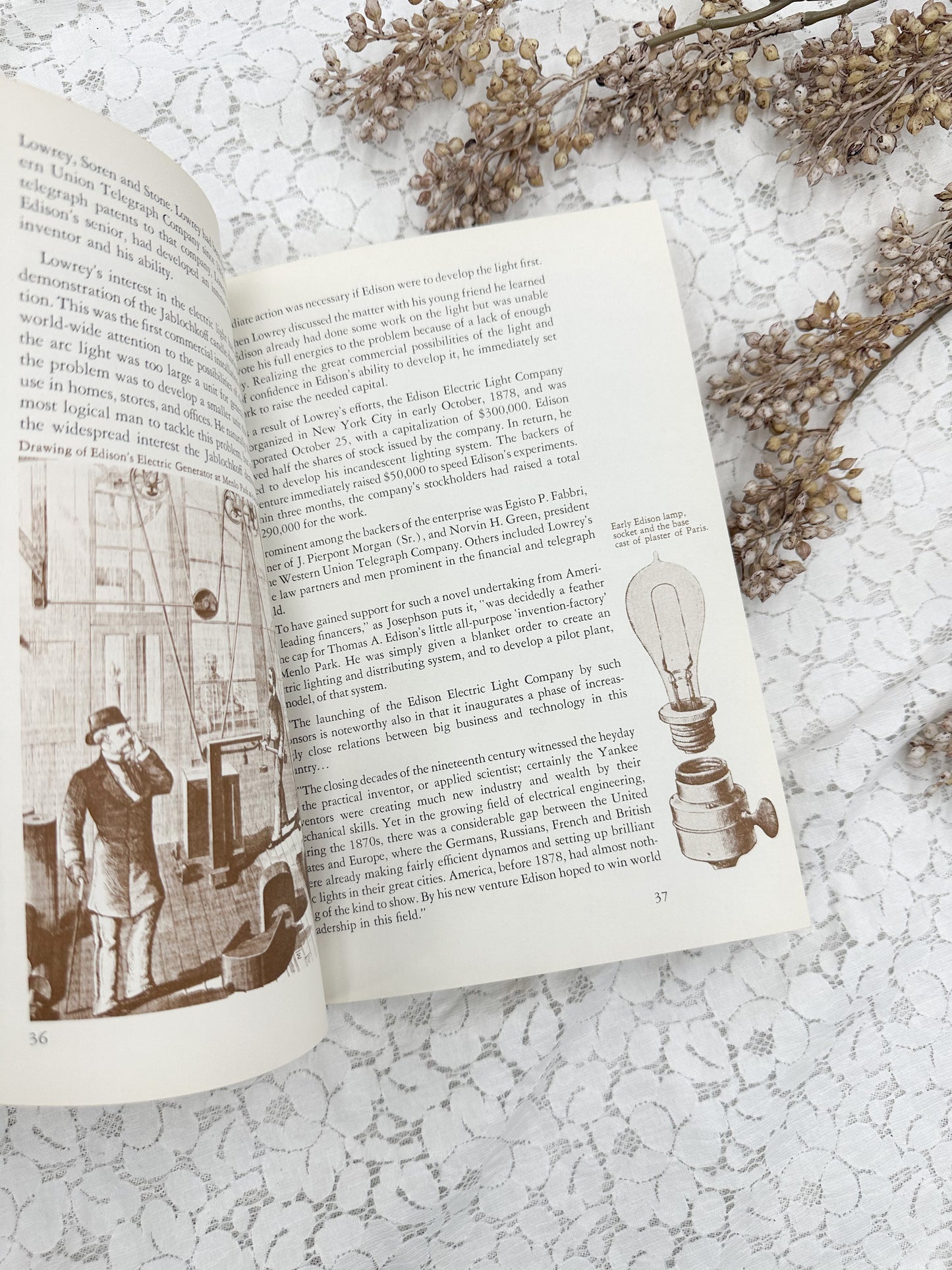 The Incandescent Light Book