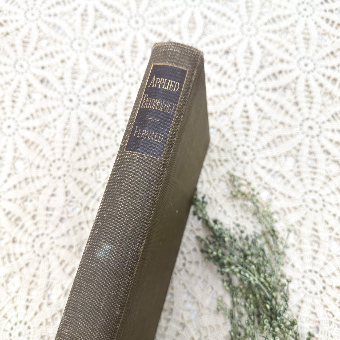 Applied Entomology by H.T. Fernald, Ph.D