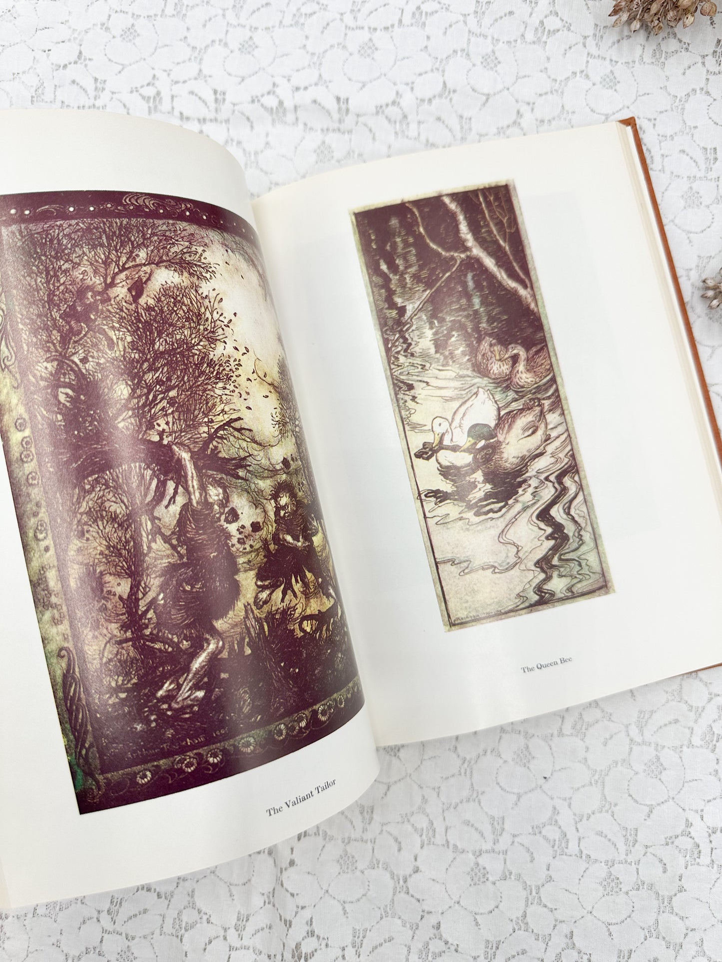 Grimm's Fairy Tales