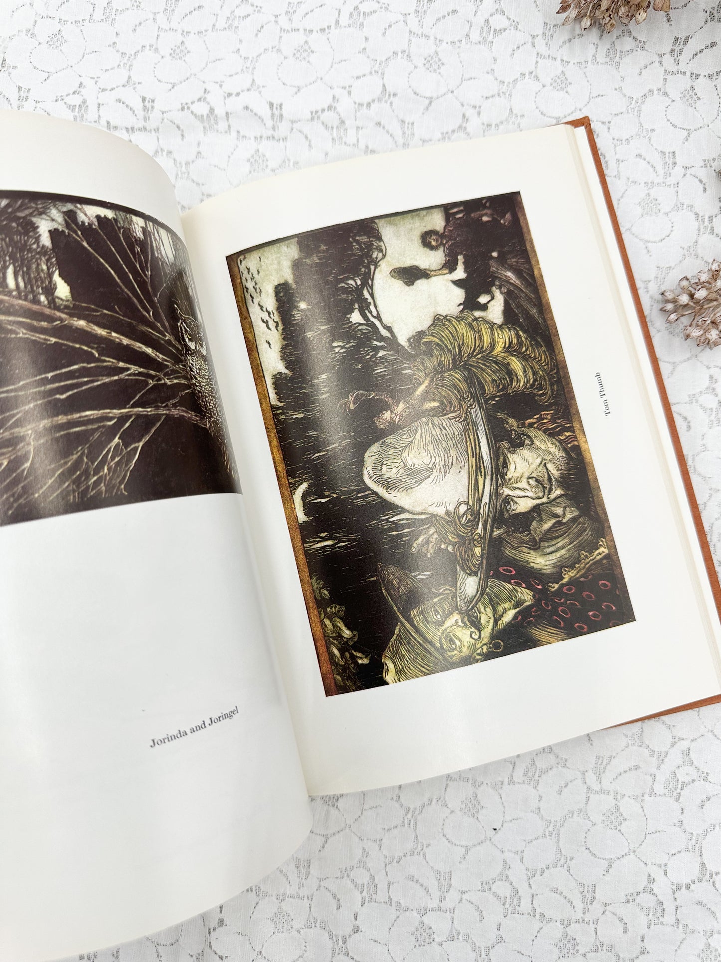 Grimm's Fairy Tales
