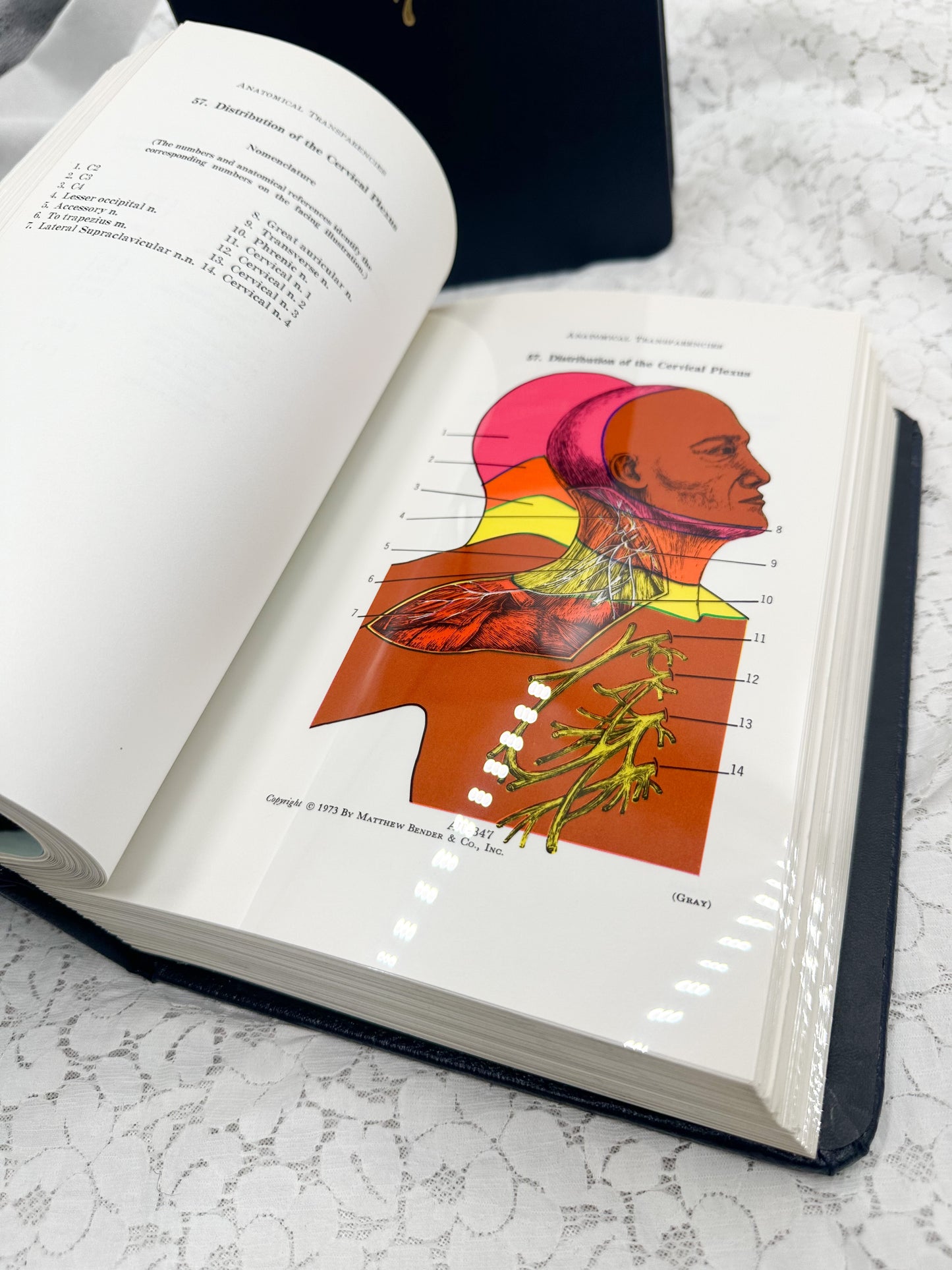 Textbook of Medicine- Two Available