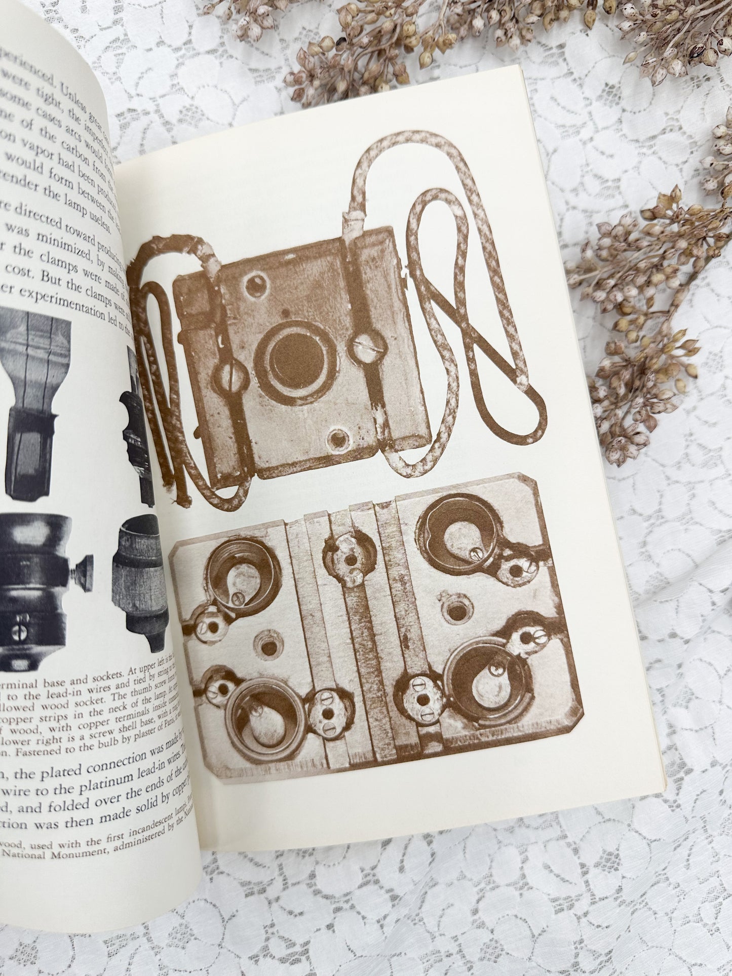 The Incandescent Light Book