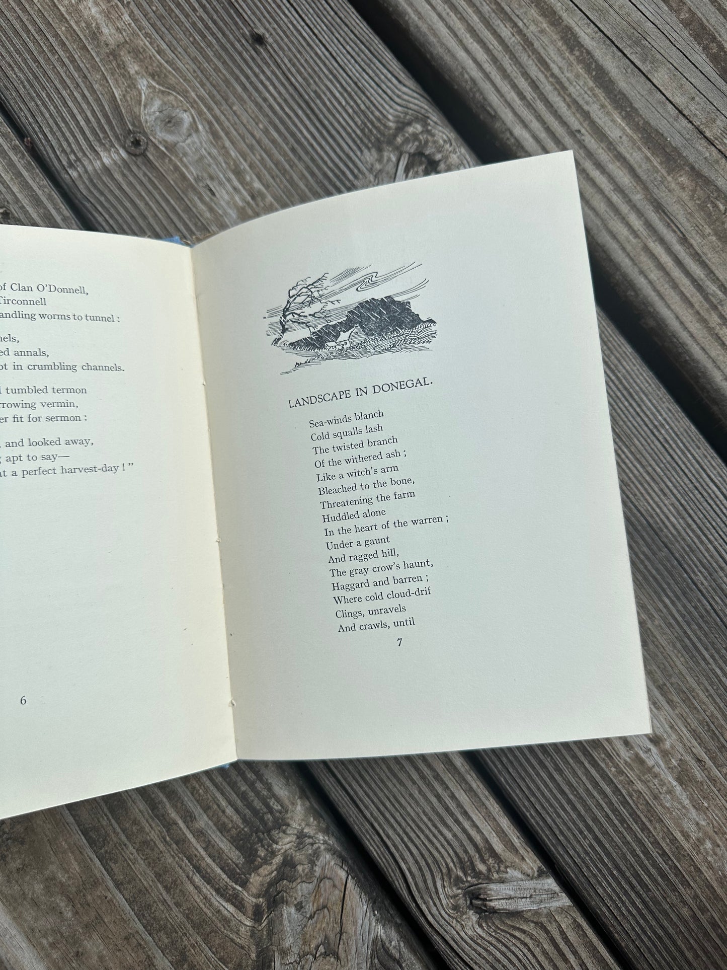 Wild Honey Poems