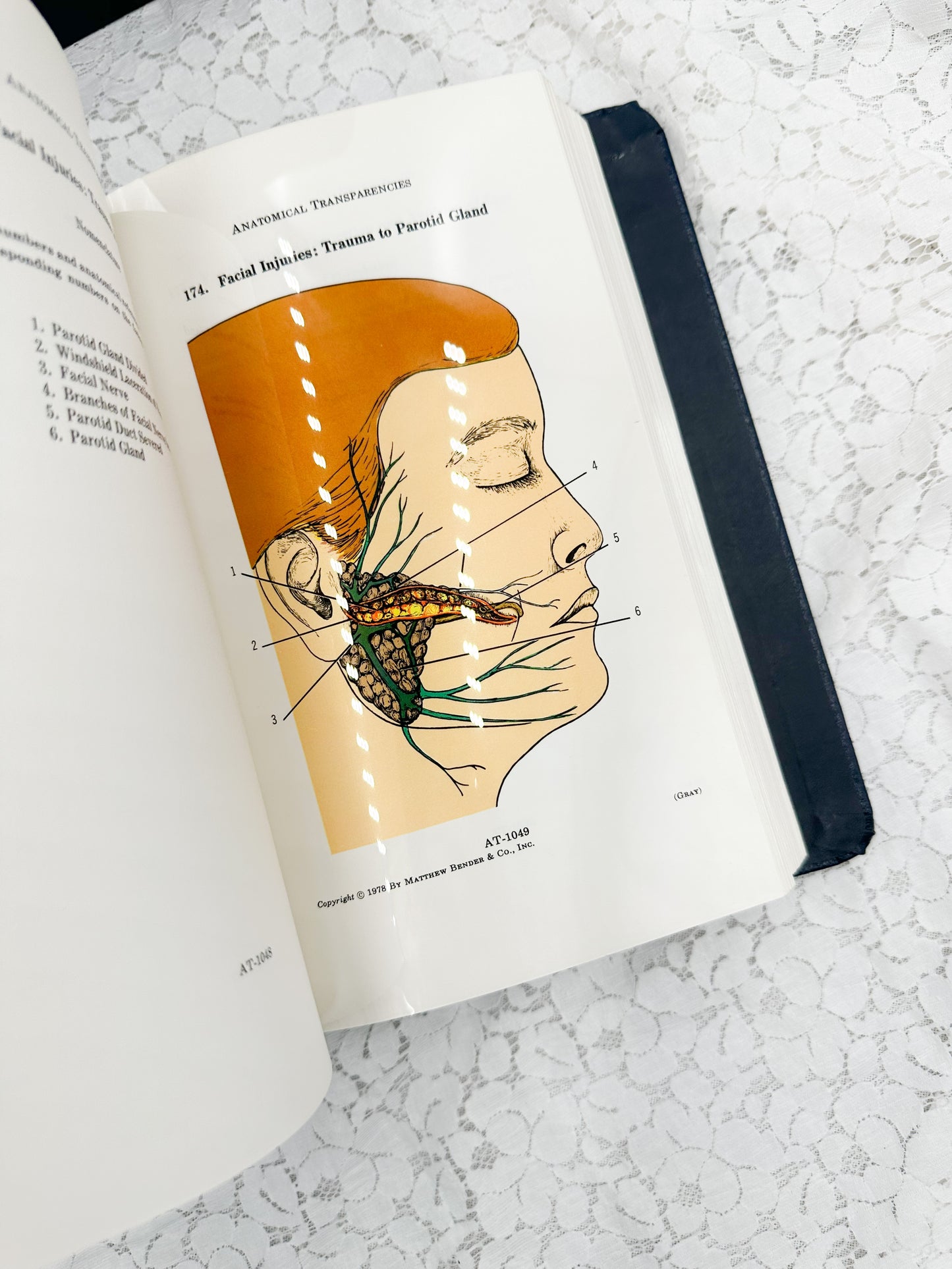 Textbook of Medicine- Two Available