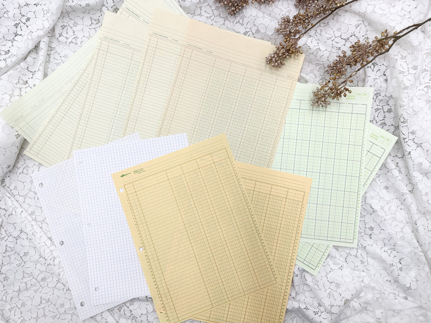 Blank Ledger Papers