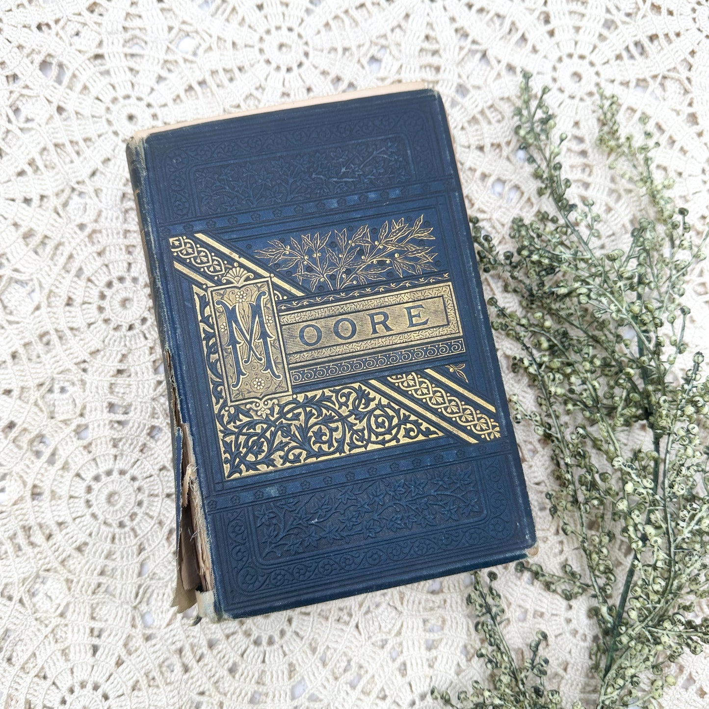 The Poetical Works of Thomas Moore