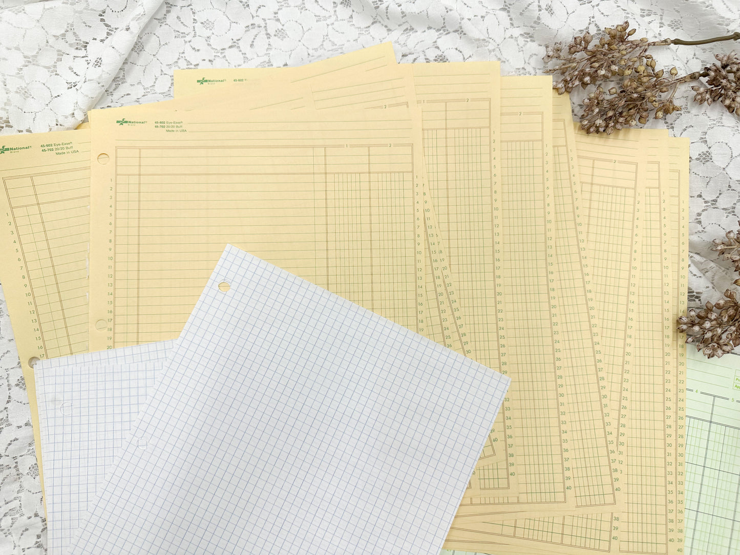 Blank Ledger Paper Set