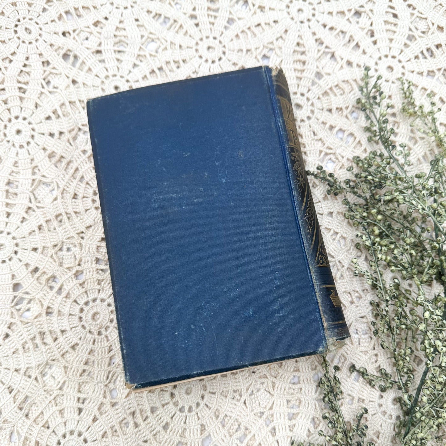 The Poetical Works of Thomas Moore