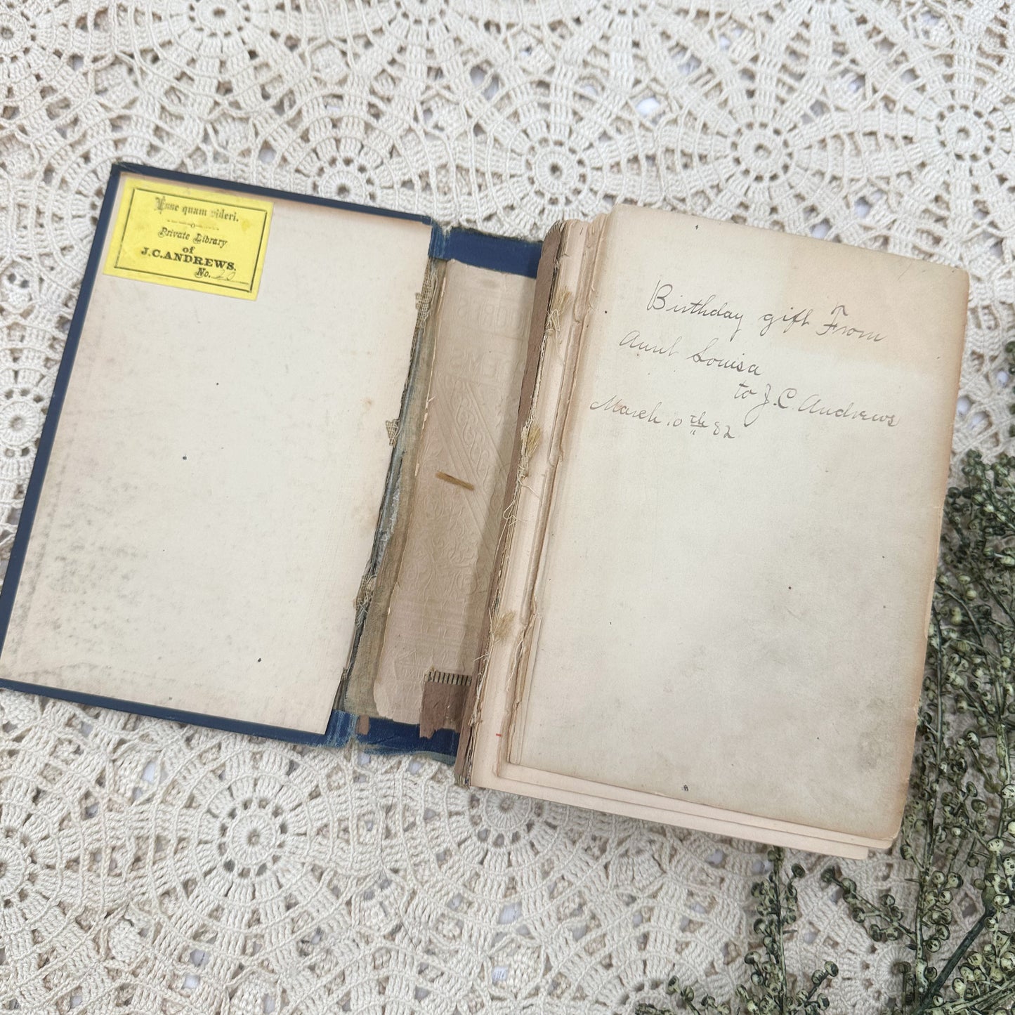 The Poetical Works of Thomas Moore