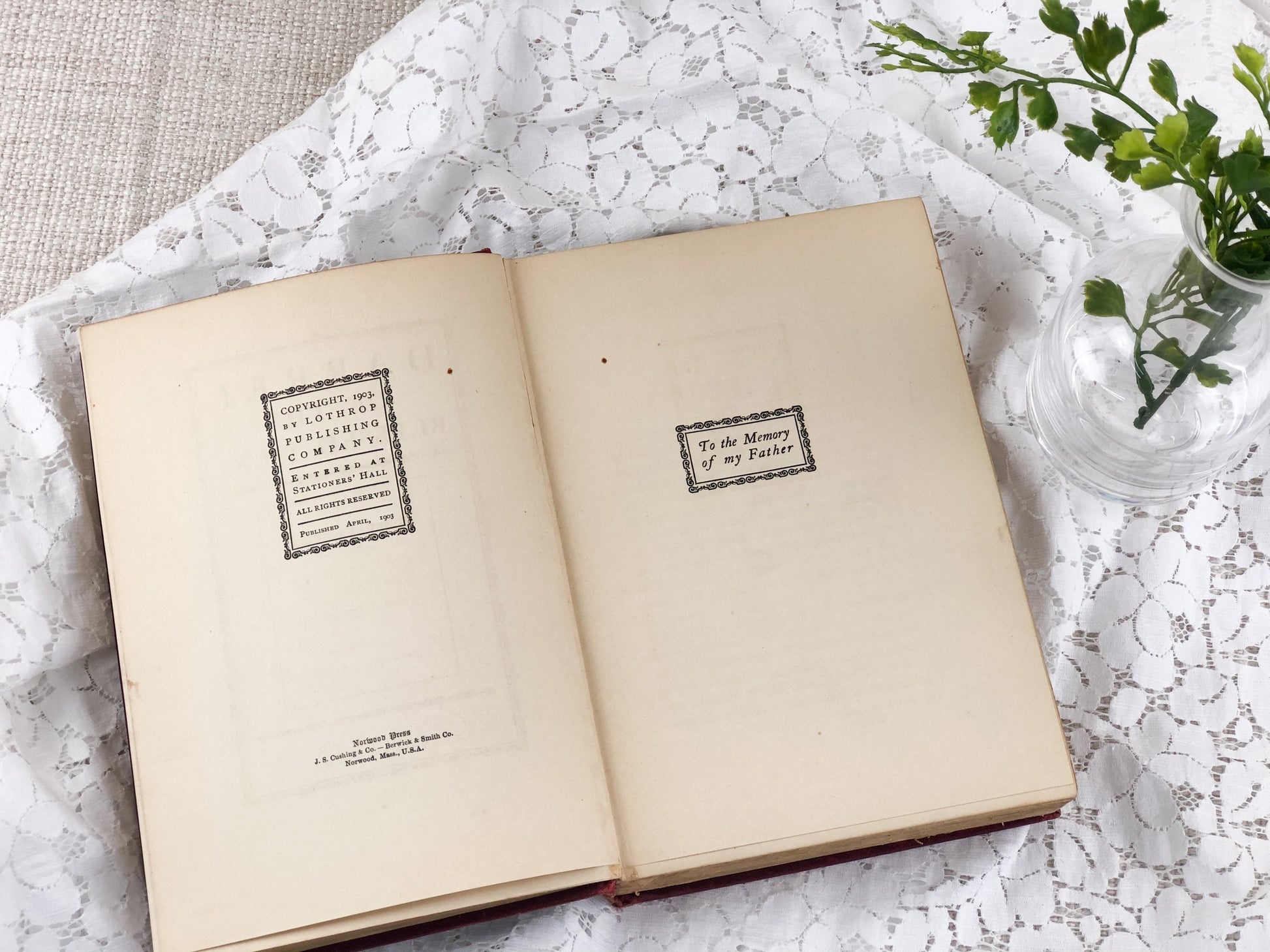 Vintage Book, Darrel of the Blessed Isles