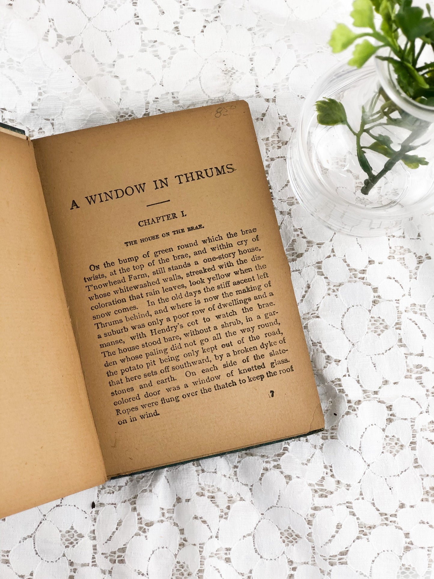 Rare Book, A Window in Thrums