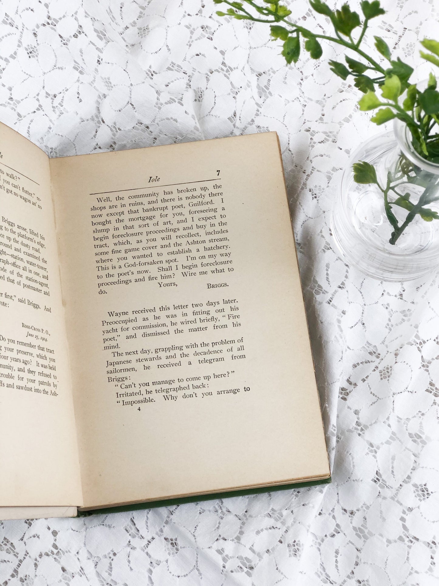 Rare Book, Iole by Robert W Chambers