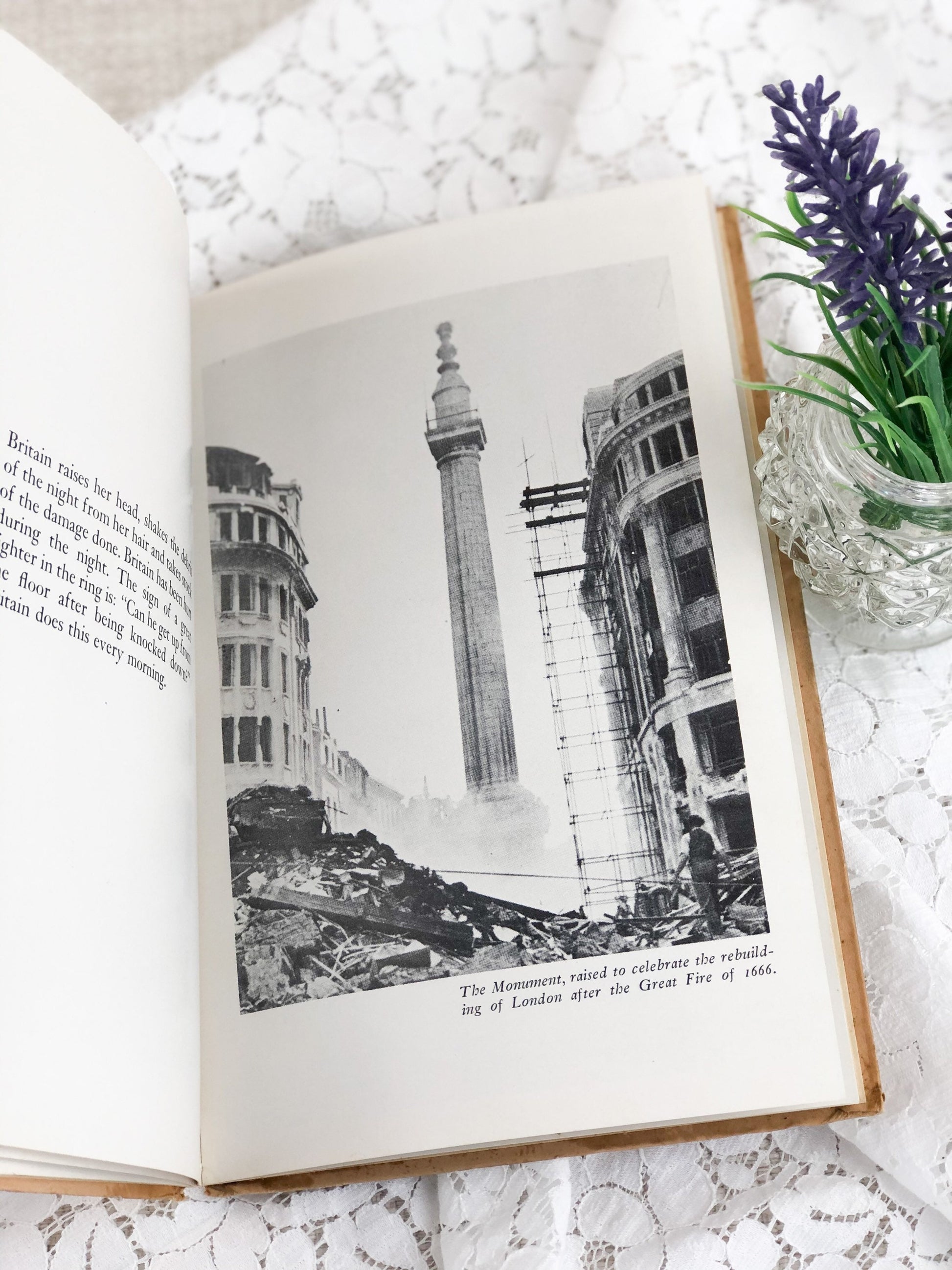 Rare Book, Britain Can Take It