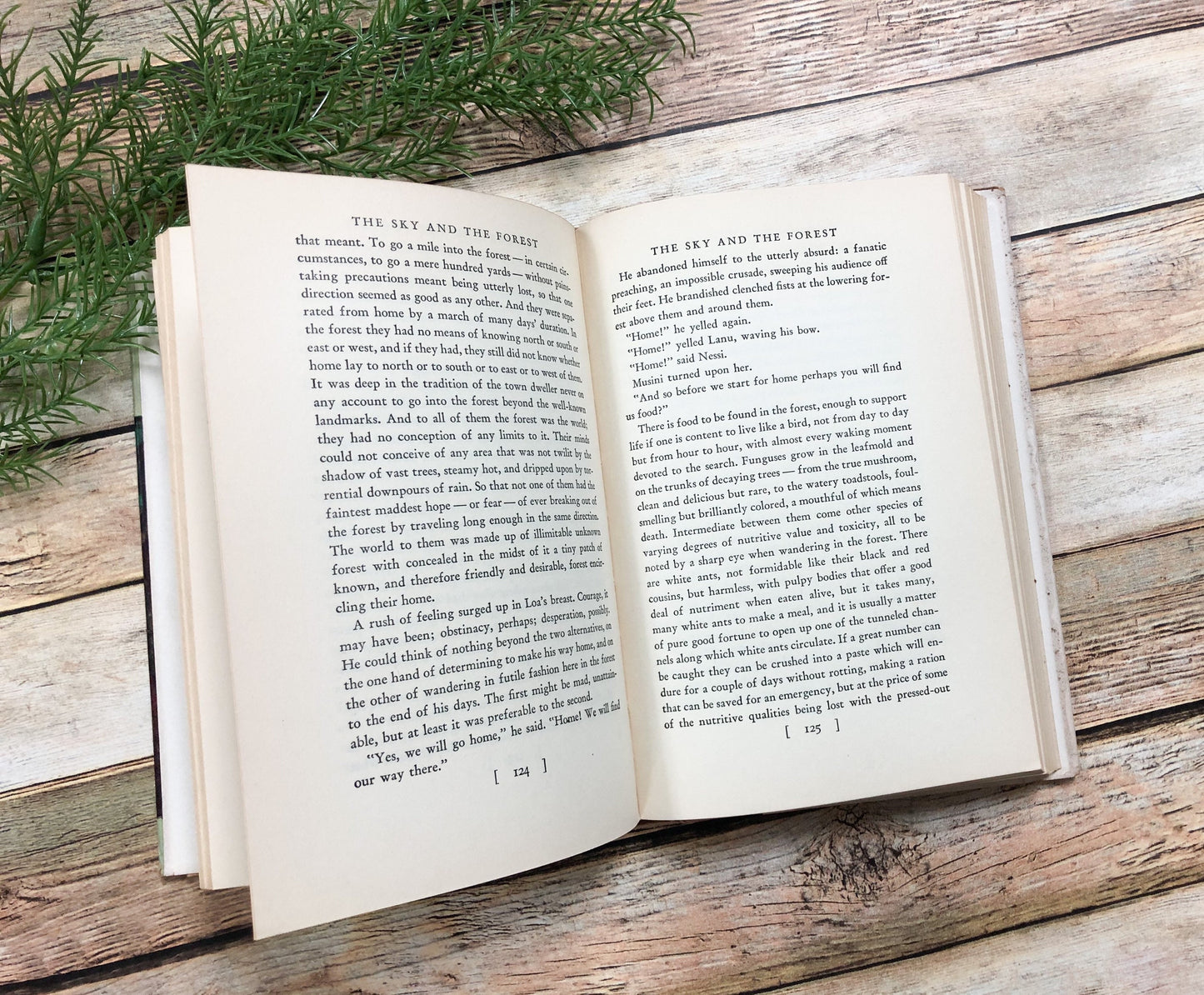 Vintage Book by C. S. Forester, The Sky and the Forest