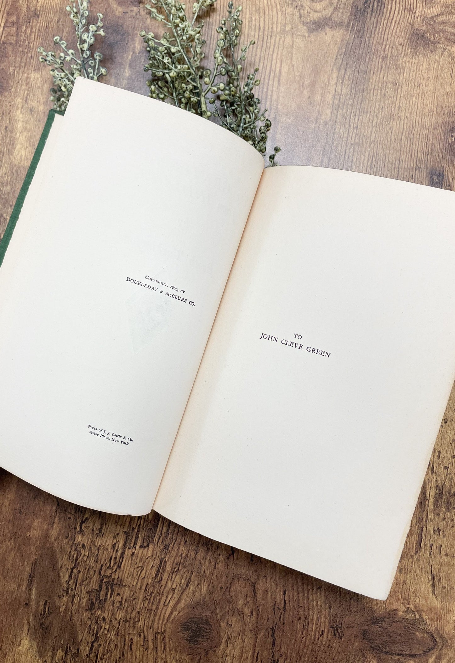 Antique Book, The Gentleman From Indiana