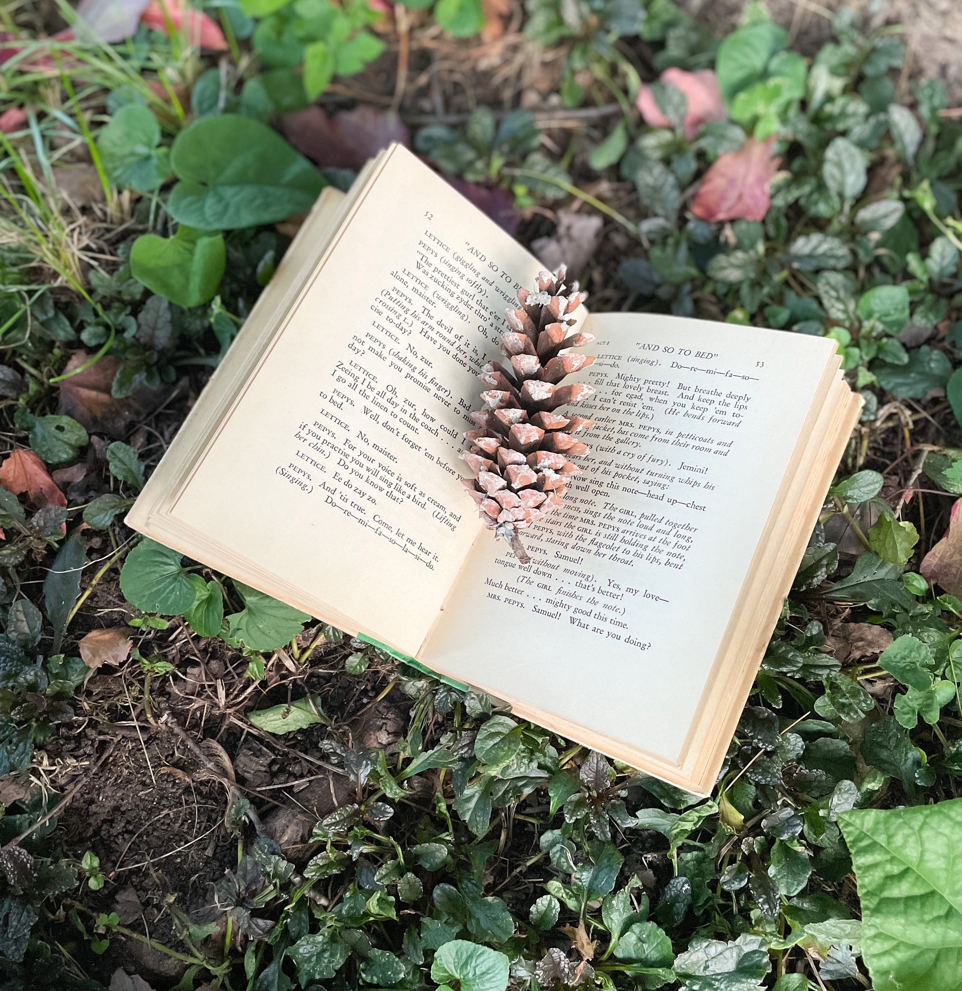 Vintage Play, "And So to Bed" by J.B. Fagan