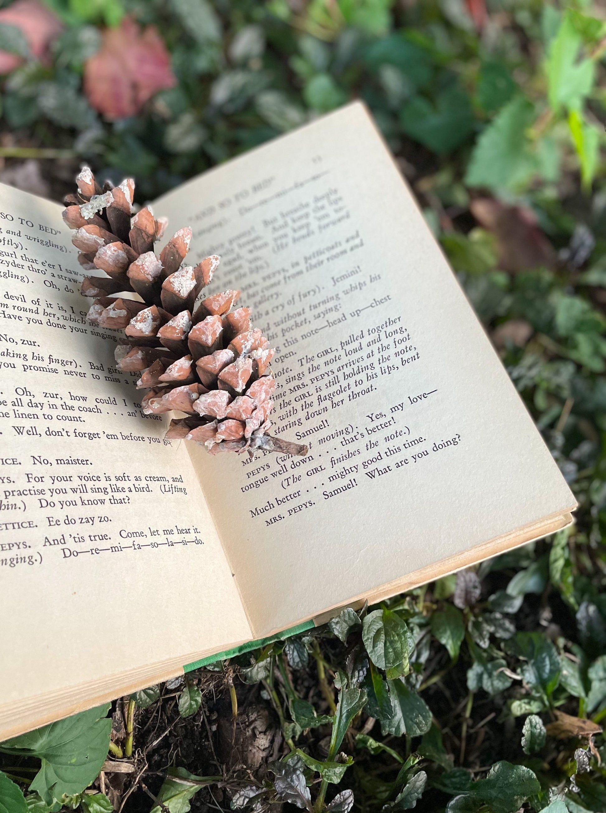 Vintage Play, "And So to Bed" by J.B. Fagan