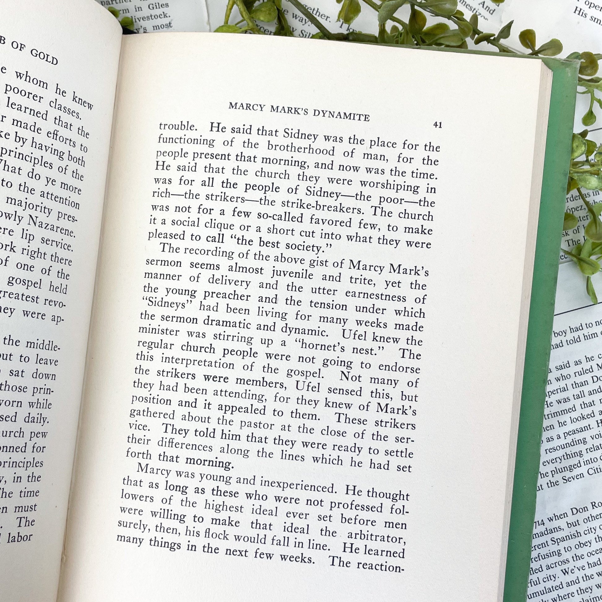 Antiquarian Book, The Story of the Tomb of Gold by Thomas Alva Stubbins