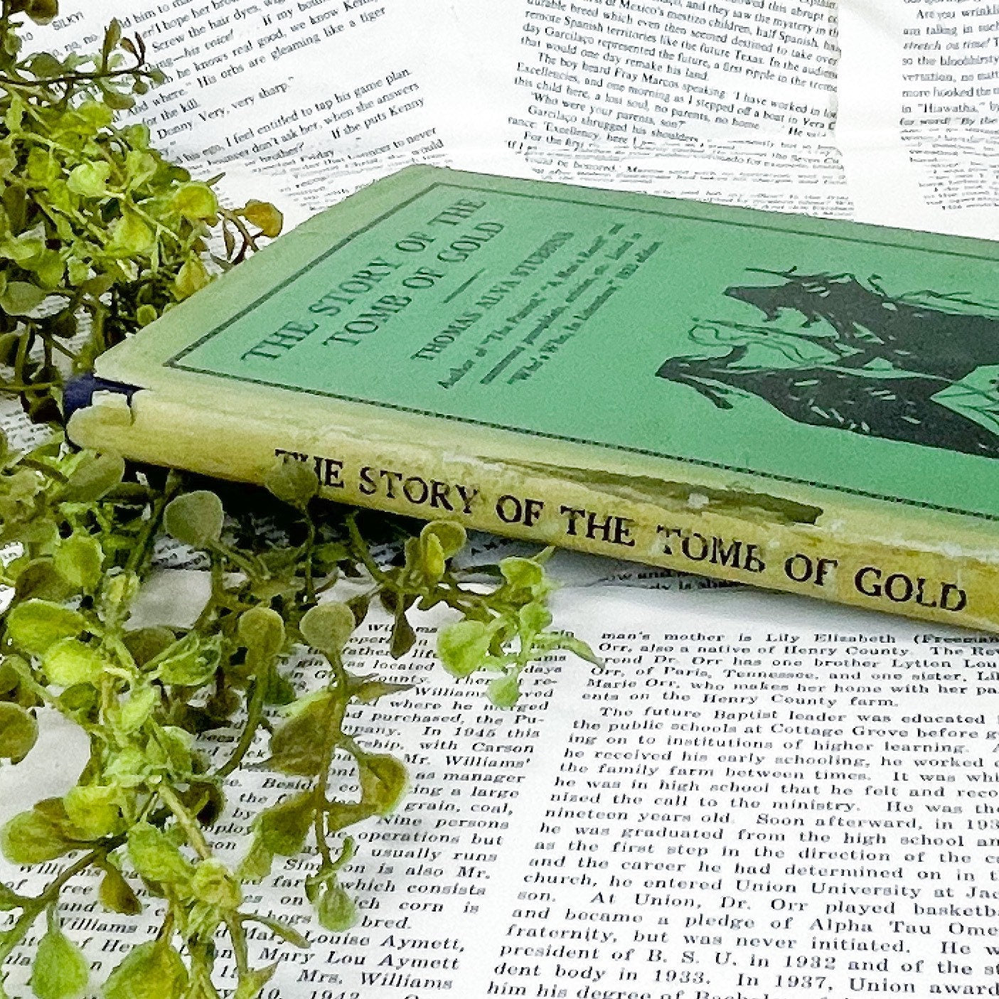 Antiquarian Book, The Story of the Tomb of Gold by Thomas Alva Stubbins