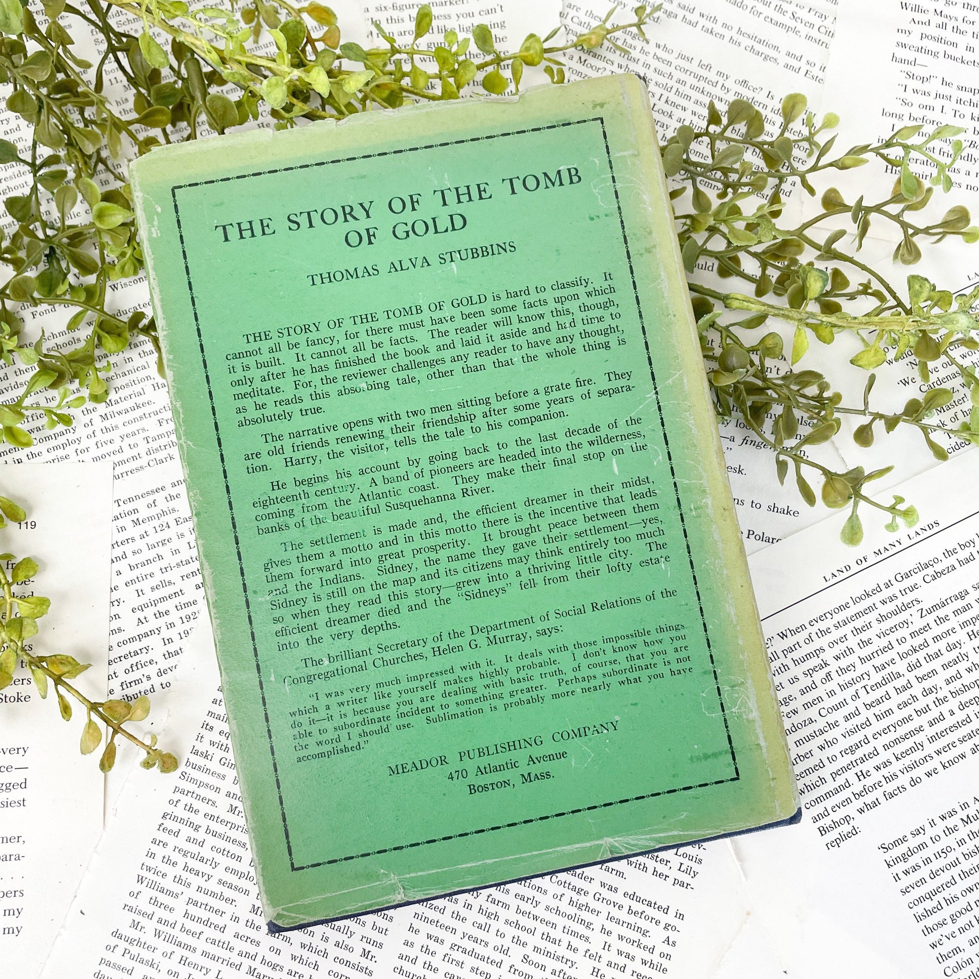 Antiquarian Book, The Story of the Tomb of Gold by Thomas Alva Stubbins