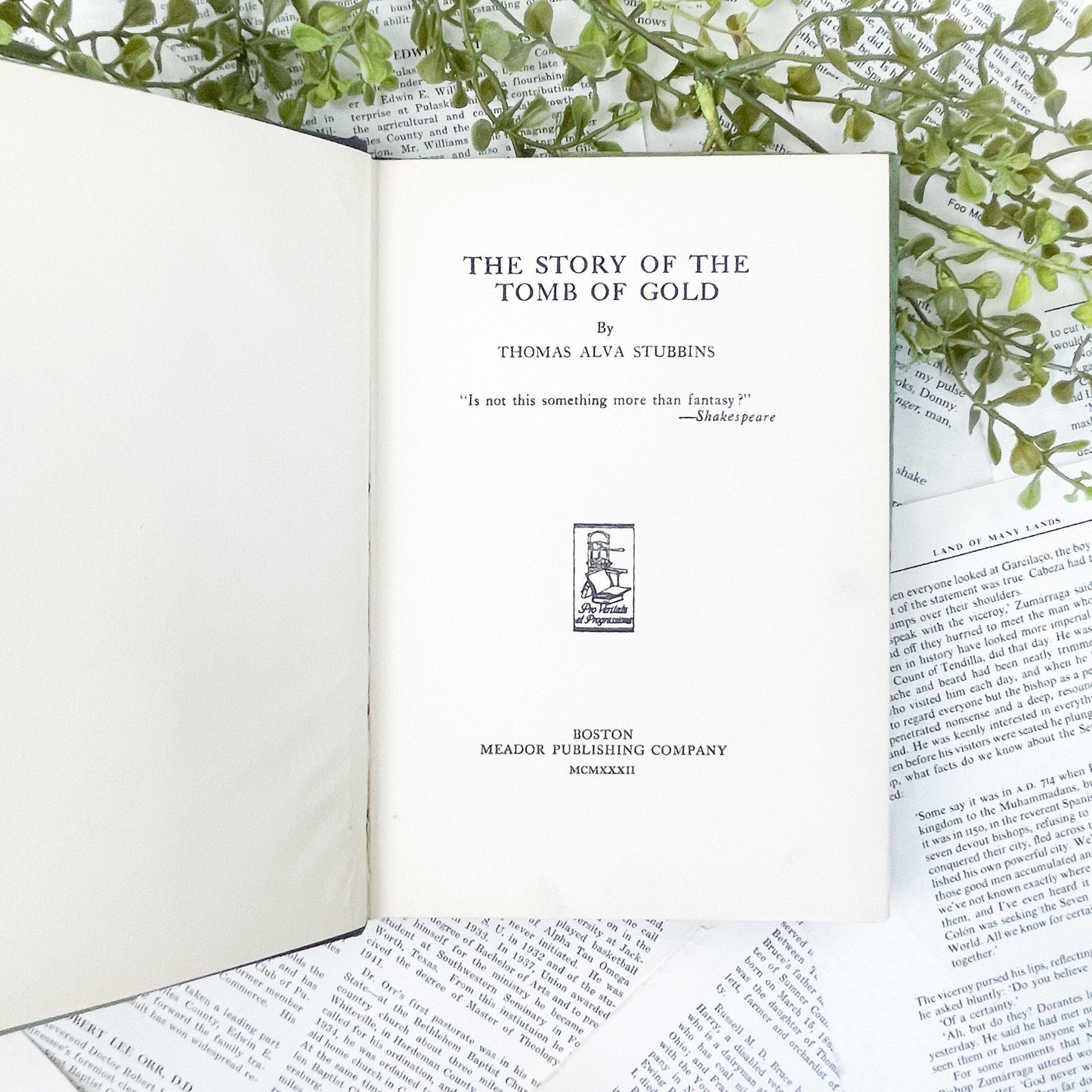 Antiquarian Book, The Story of the Tomb of Gold by Thomas Alva Stubbins