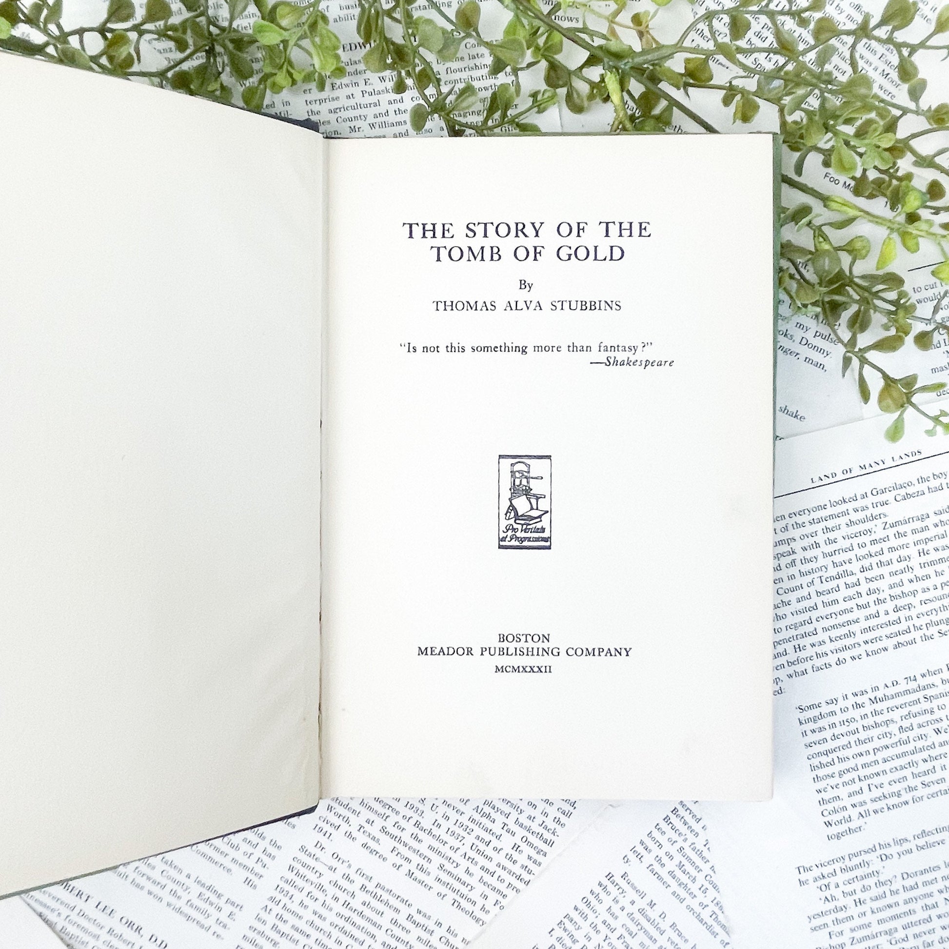 Antiquarian Book, The Story of the Tomb of Gold by Thomas Alva Stubbins