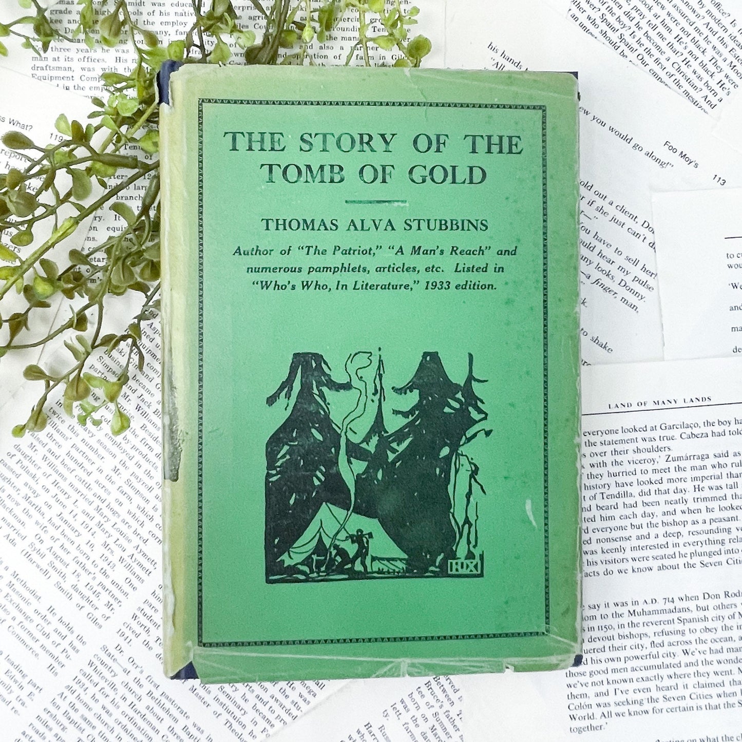 Antiquarian Book, The Story of the Tomb of Gold by Thomas Alva Stubbins