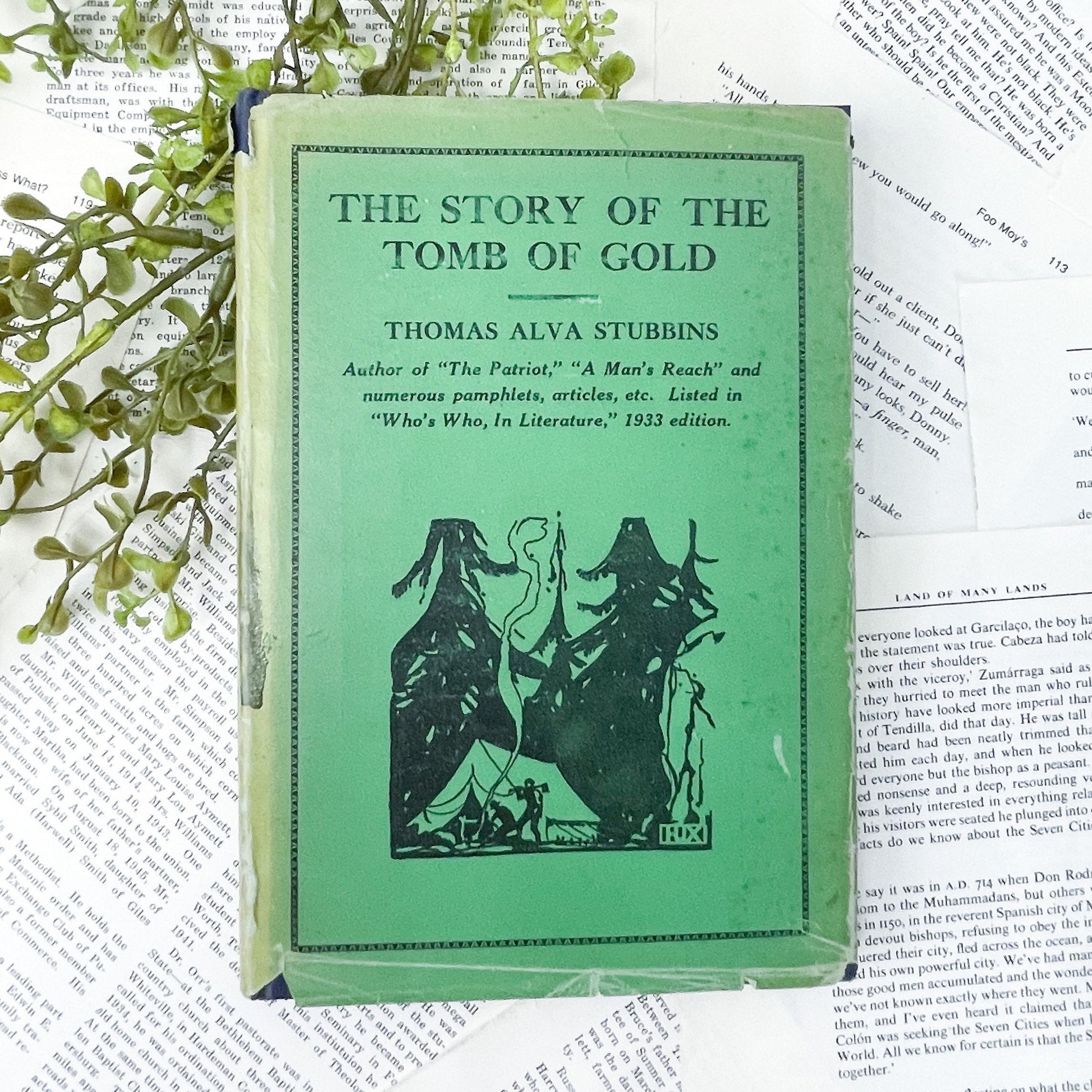 Antiquarian Book, The Story of the Tomb of Gold by Thomas Alva Stubbins