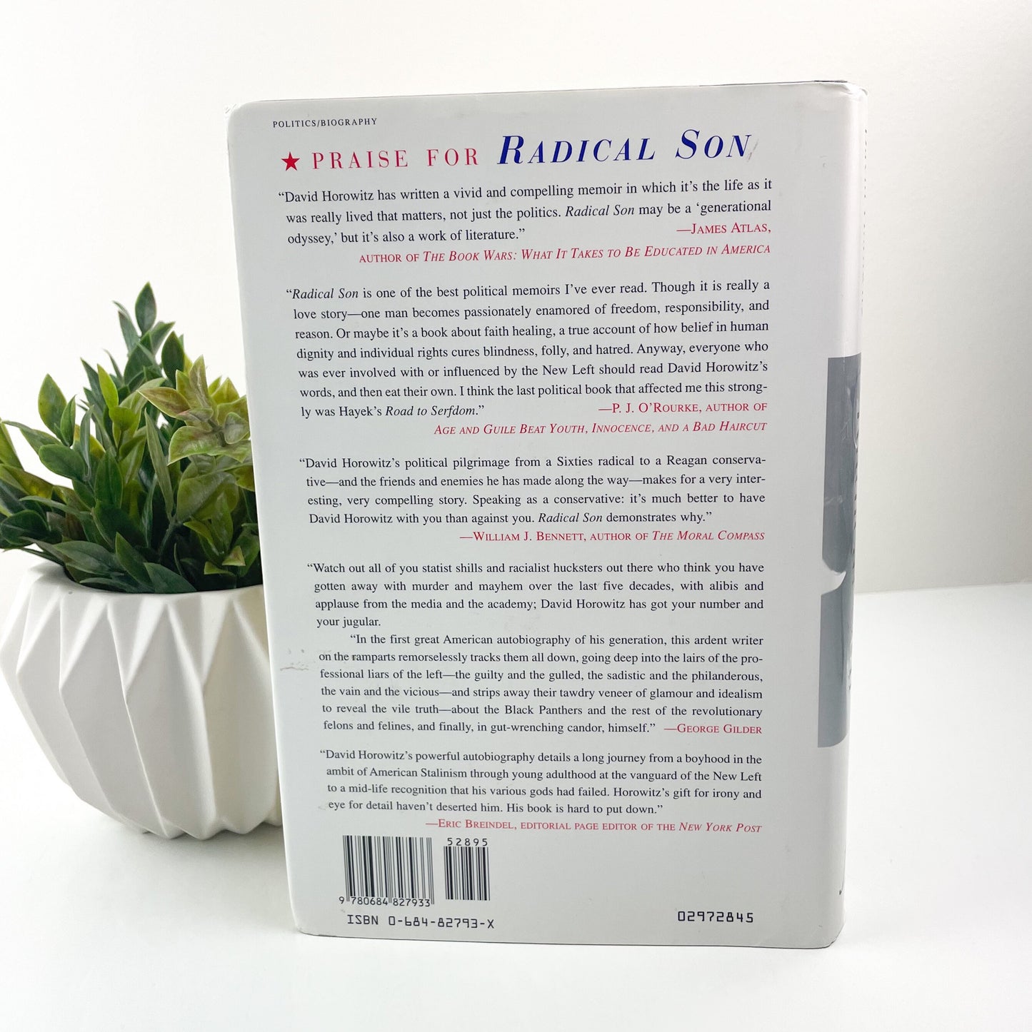 Radical Son by David Horowitz