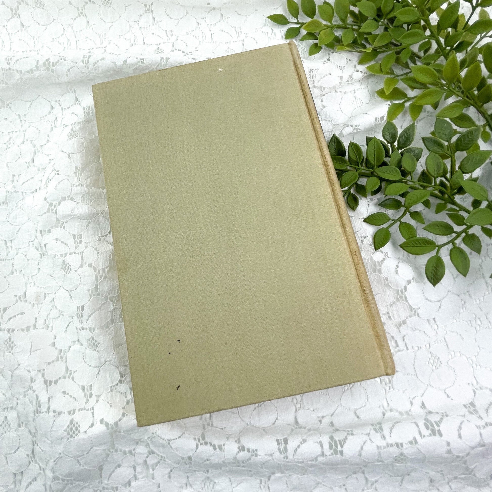 The St. Johns: A Parade of Diversities by Branch Cabell & A.J. Hanna