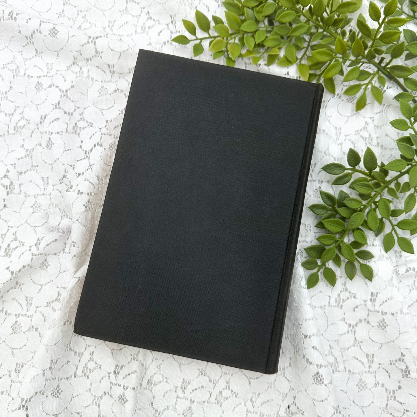 New Yorkers from Stuyvesant to Roosevelt