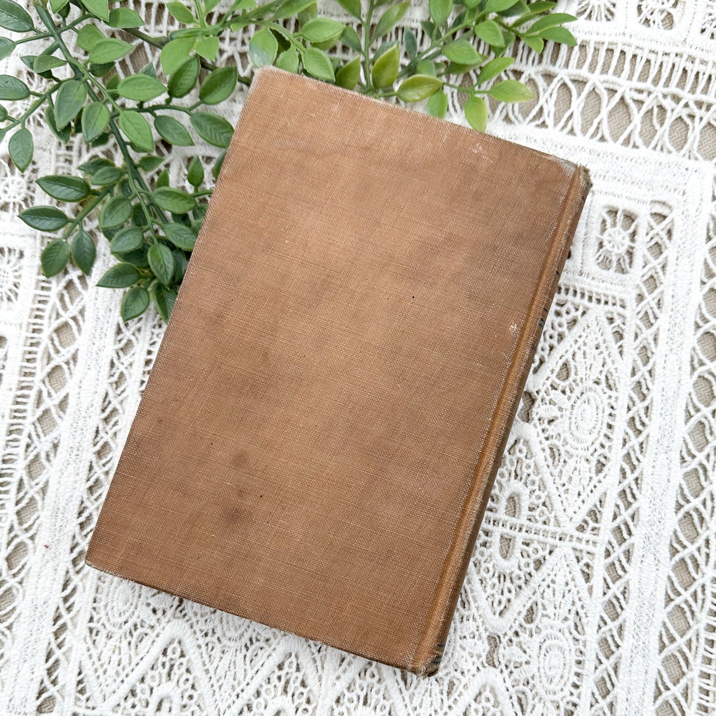 The Boy Editor by Winifred Kirkland