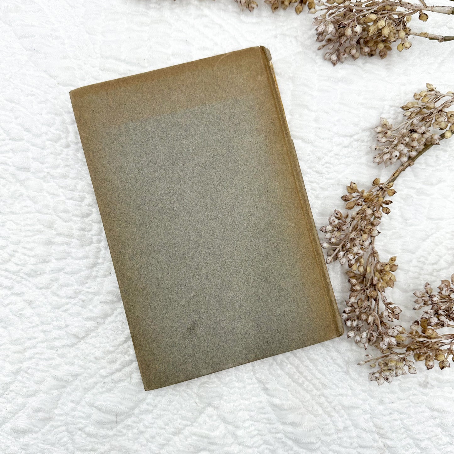 The Honeymoon by Arnold Bennett