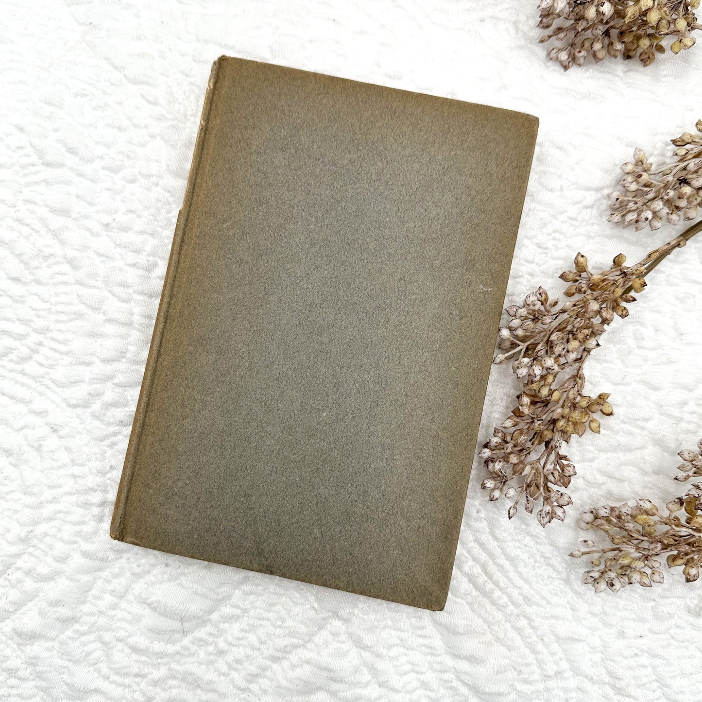 The Honeymoon by Arnold Bennett