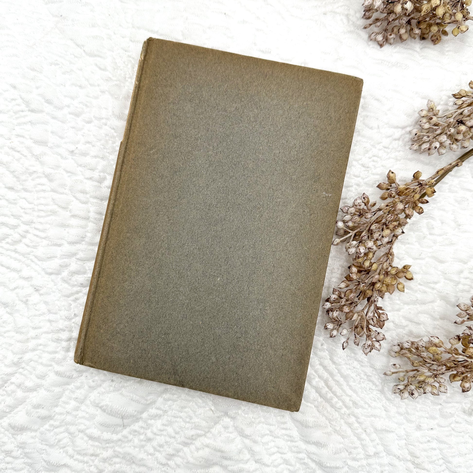 The Honeymoon by Arnold Bennett