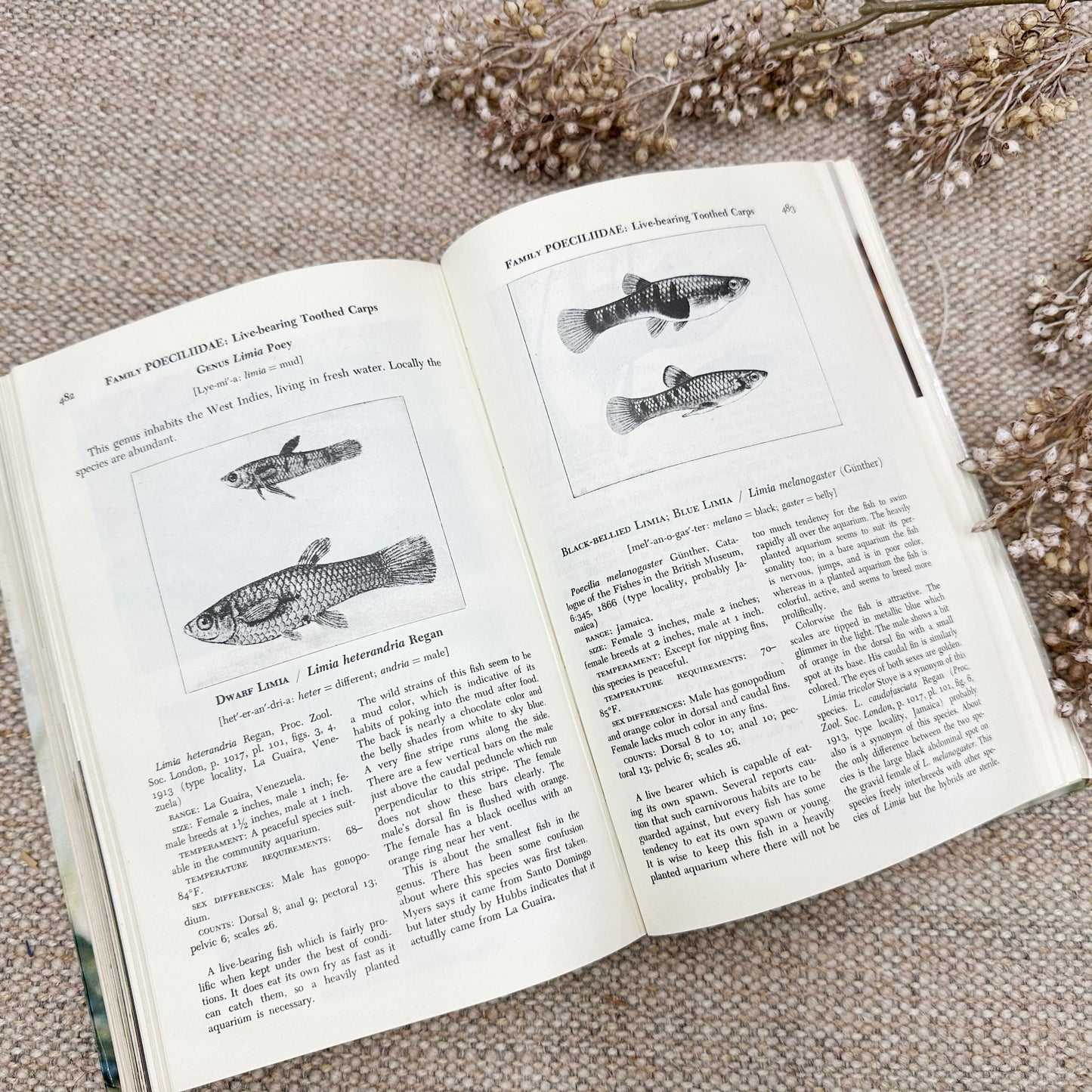 Handbook of Tropical Aquarium Fishes