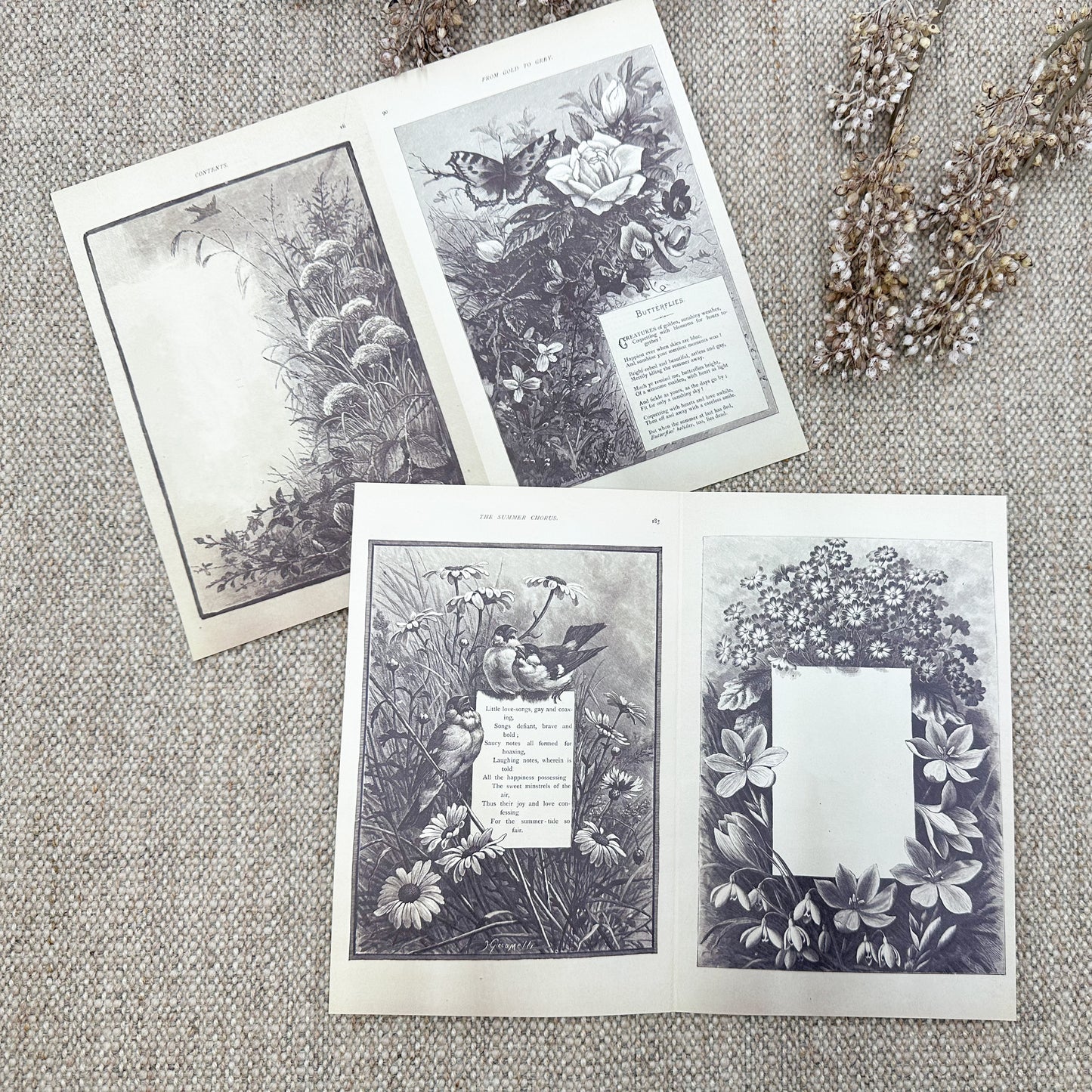 Double Sided Page Pack- Reproduction Vintage Papers