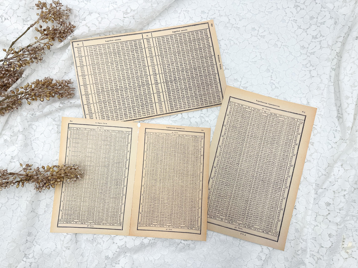 Vintage Tables- Digital Download