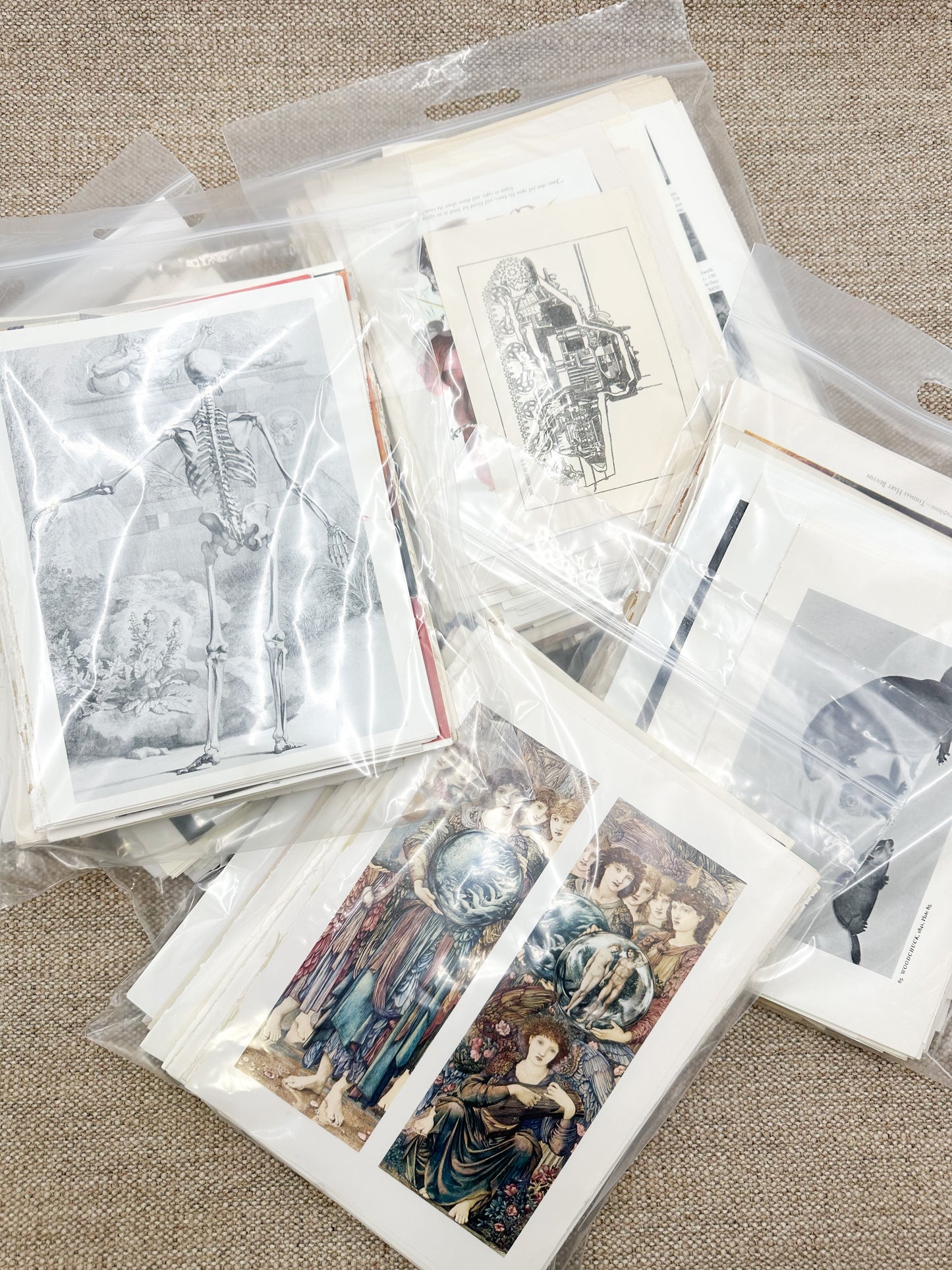 Inappropriate Art, Photos, and Text (3 lbs)