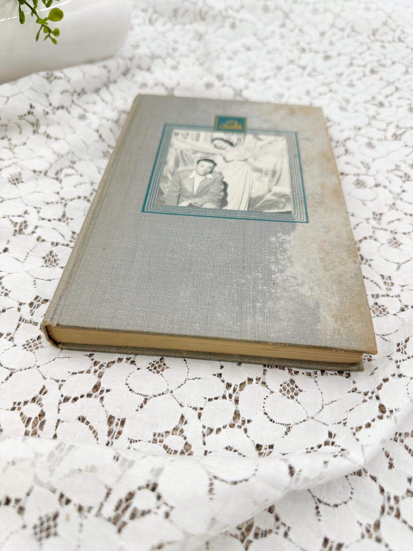 Books with Pretty Covers (Set of 3)