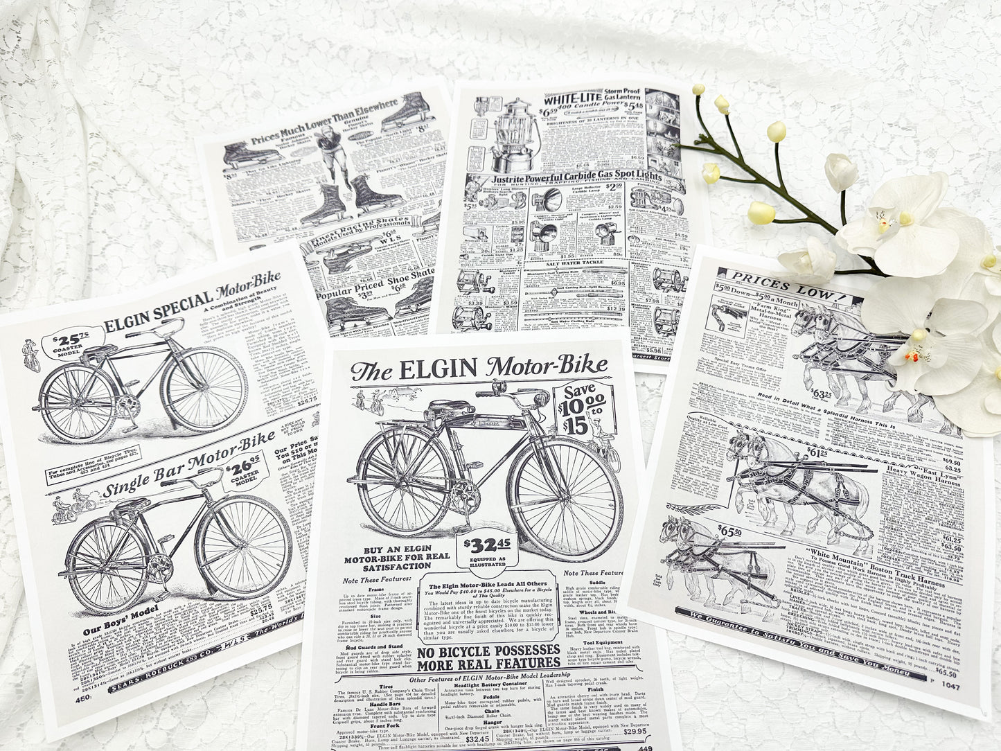 Sears Roebuck Random Catalog Pages- Digital Download