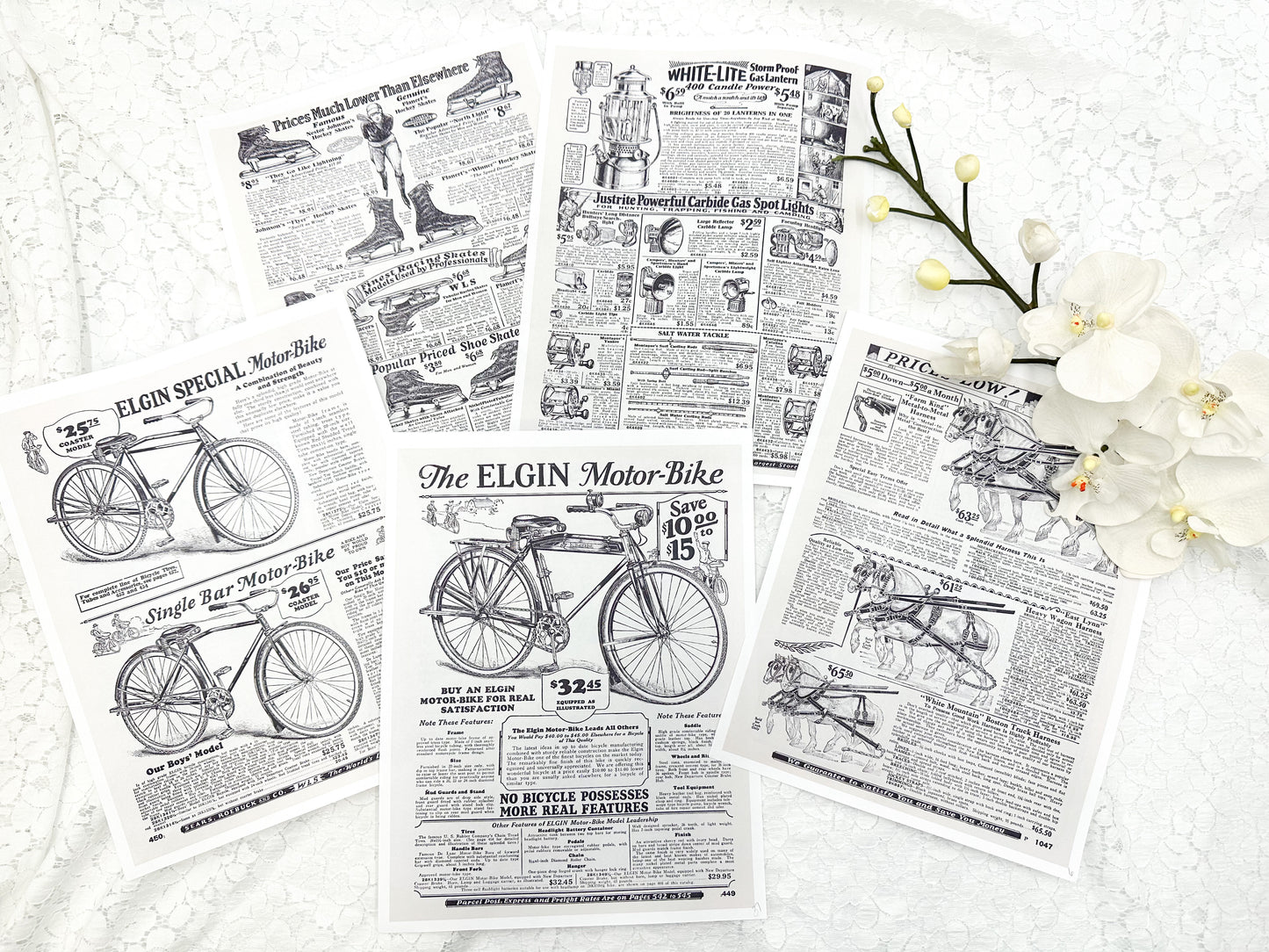 Sears Roebuck Random Catalog Pages- Digital Download