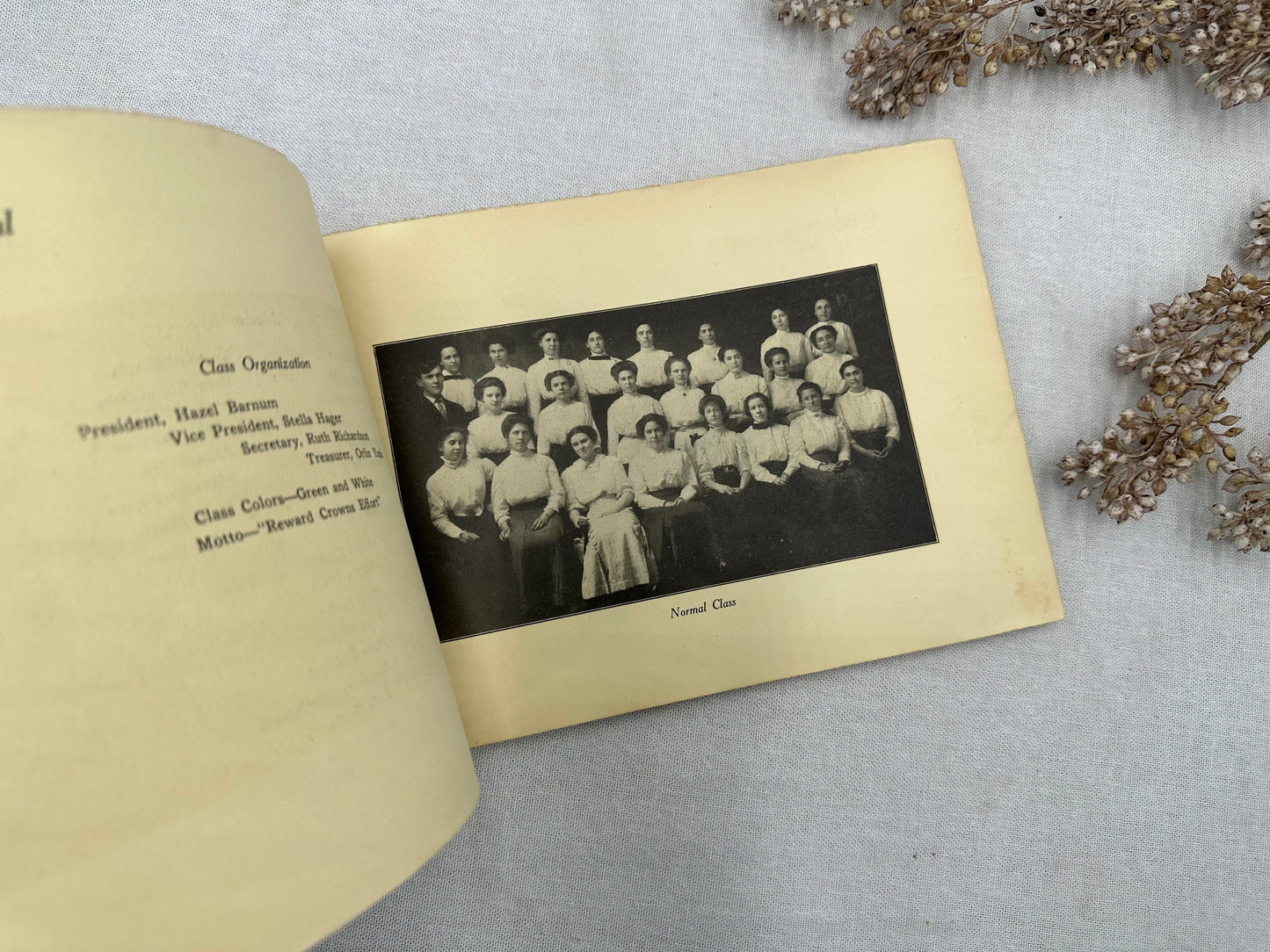 The Druid Year Book- 1911