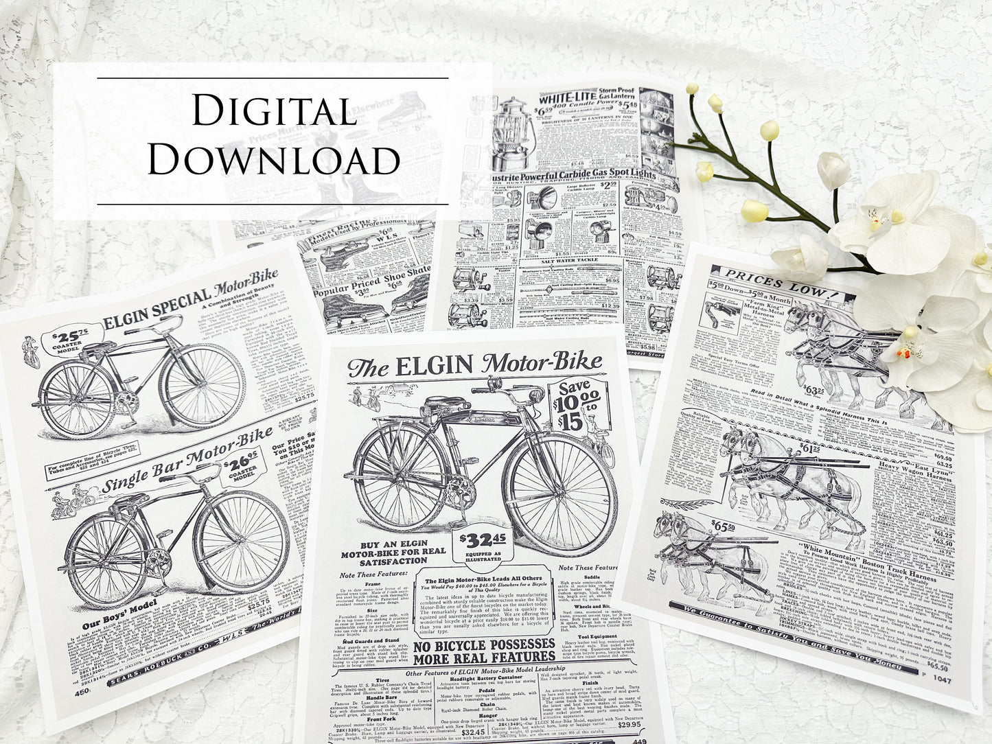 Sears Roebuck Random Catalog Pages- Digital Download